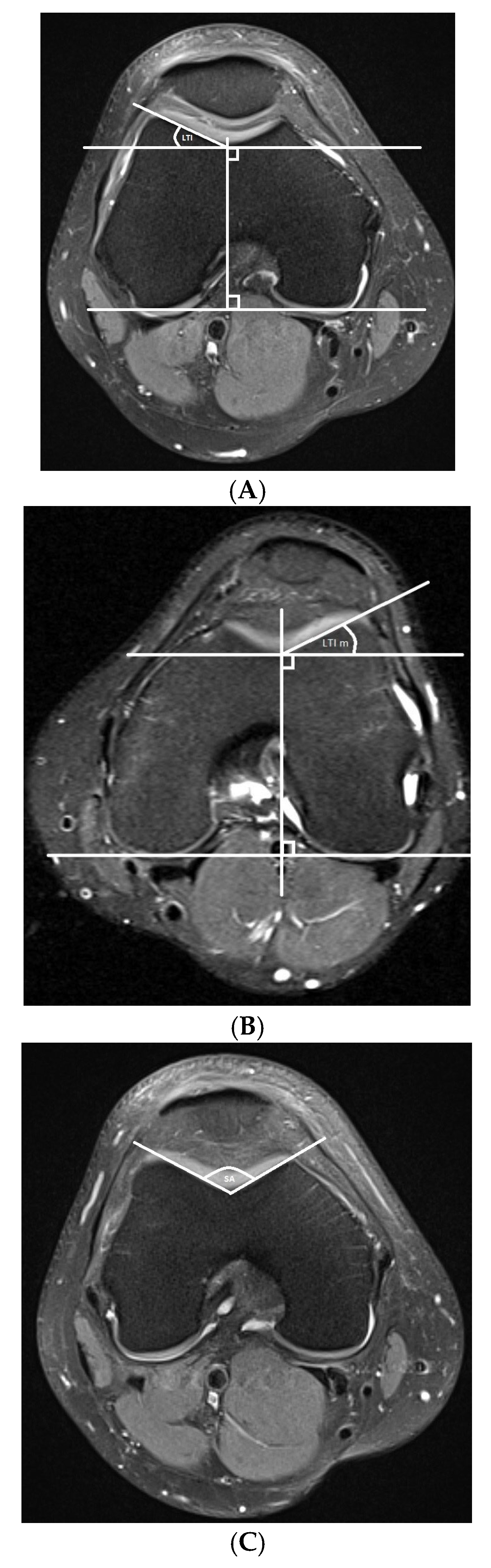 Diagnostics 15 02647 g001a Diagnostics 15 02647 g001a