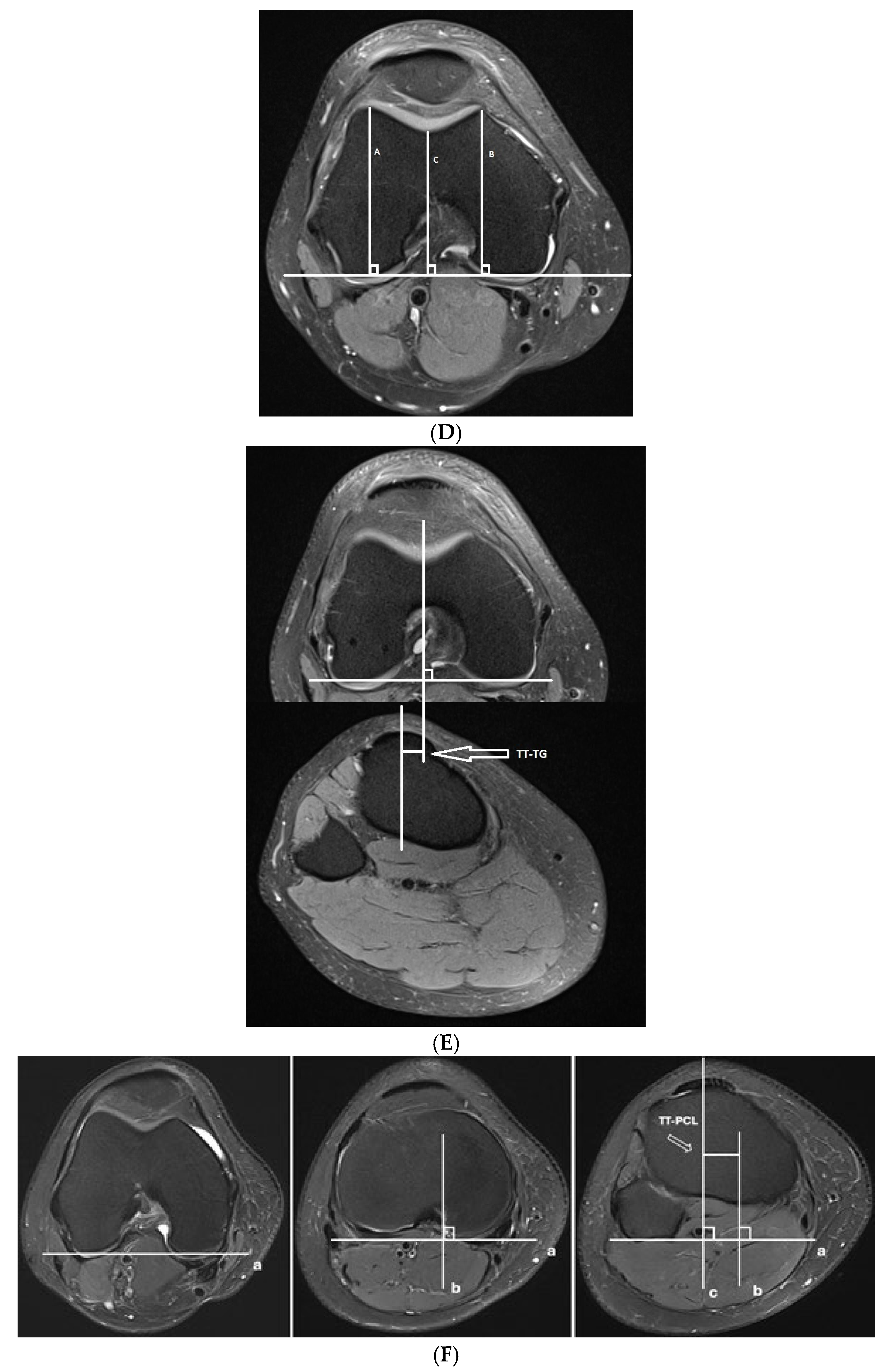 Diagnostics 15 02647 g001b Diagnostics 15 02647 g001b
