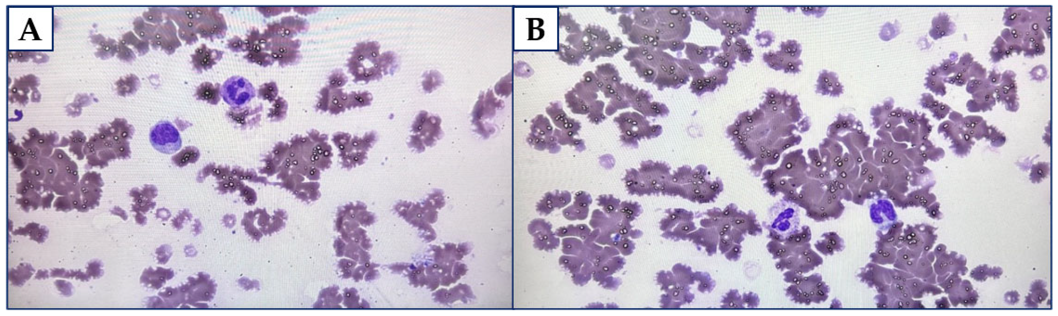 Diagnostics 15 02654 g001 Diagnostics 15 02654 g001