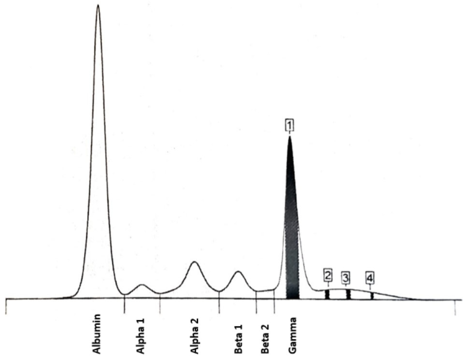Diagnostics 15 02654 g002 Diagnostics 15 02654 g002