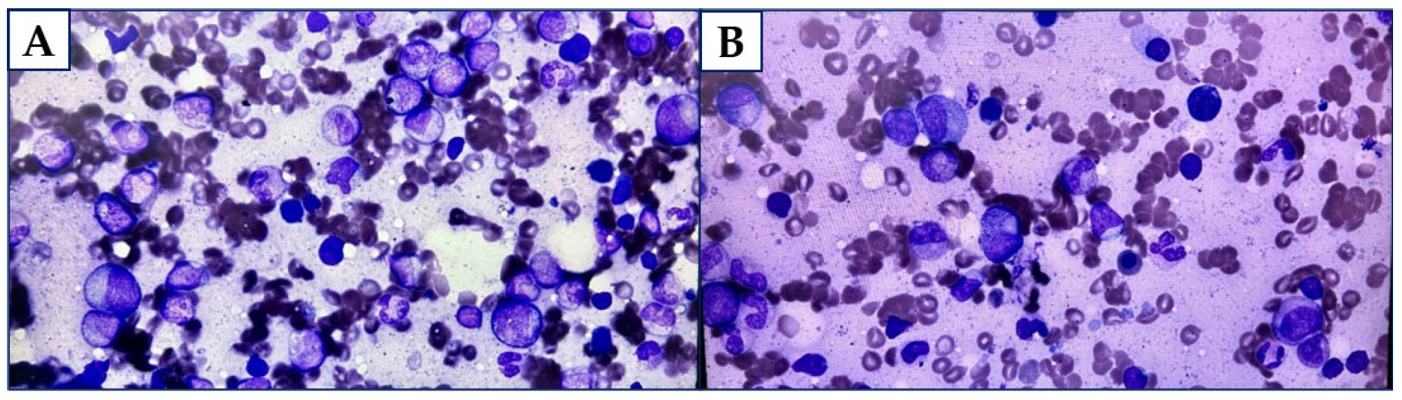 Diagnostics 15 02654 g003 Diagnostics 15 02654 g003