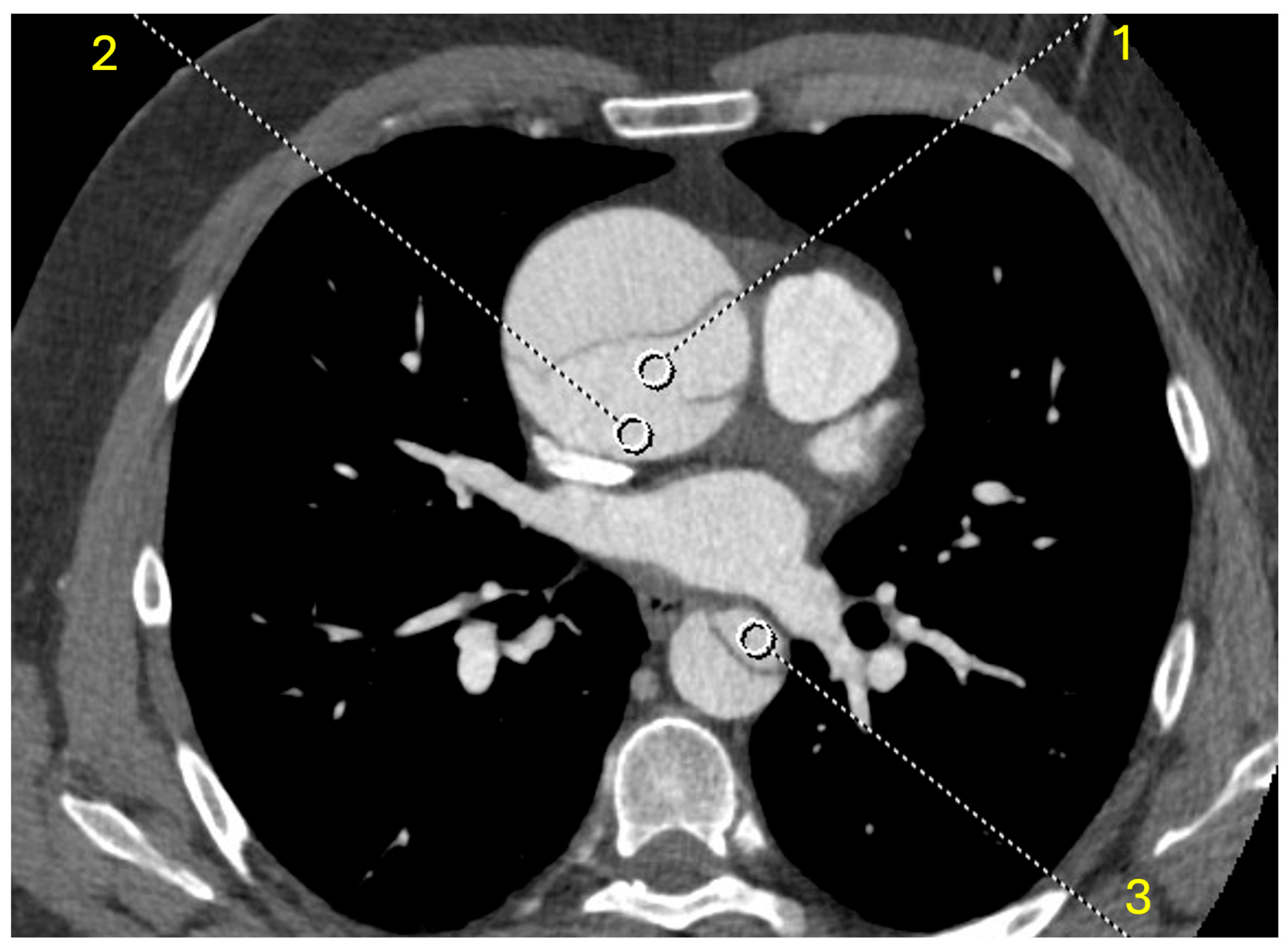 Diagnostics 15 02655 g001 Diagnostics 15 02655 g001