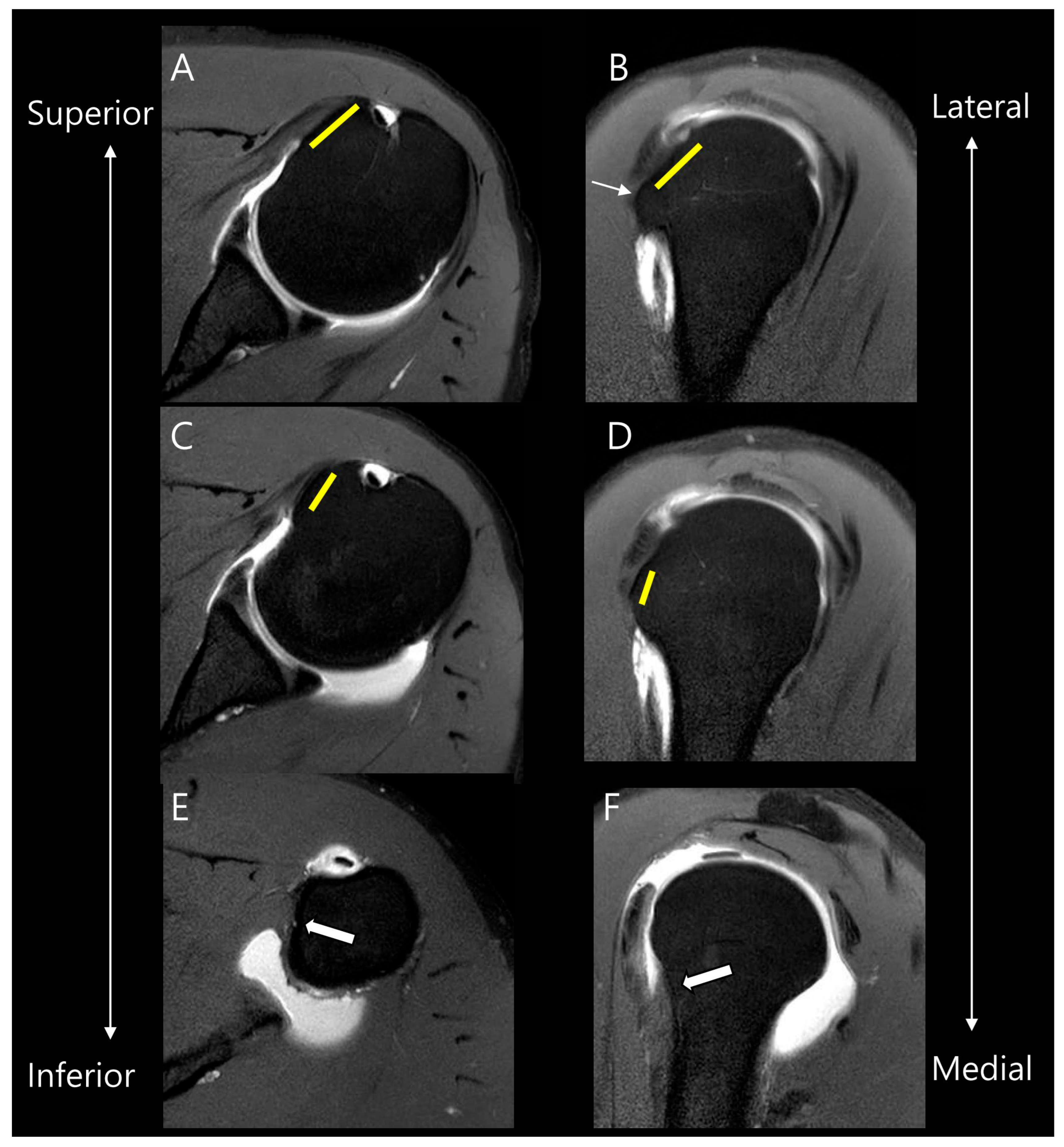 Diagnostics 15 02670 g002 Diagnostics 15 02670 g002