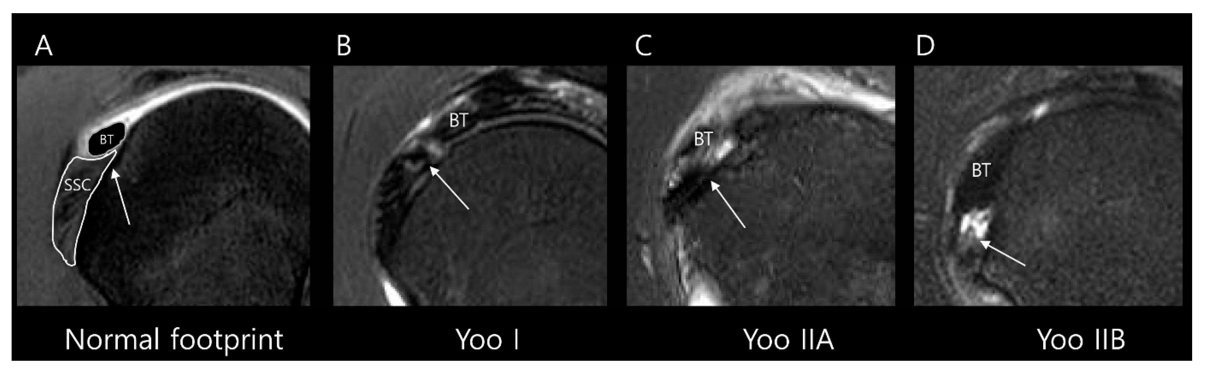 Diagnostics 15 02670 g003 Diagnostics 15 02670 g003
