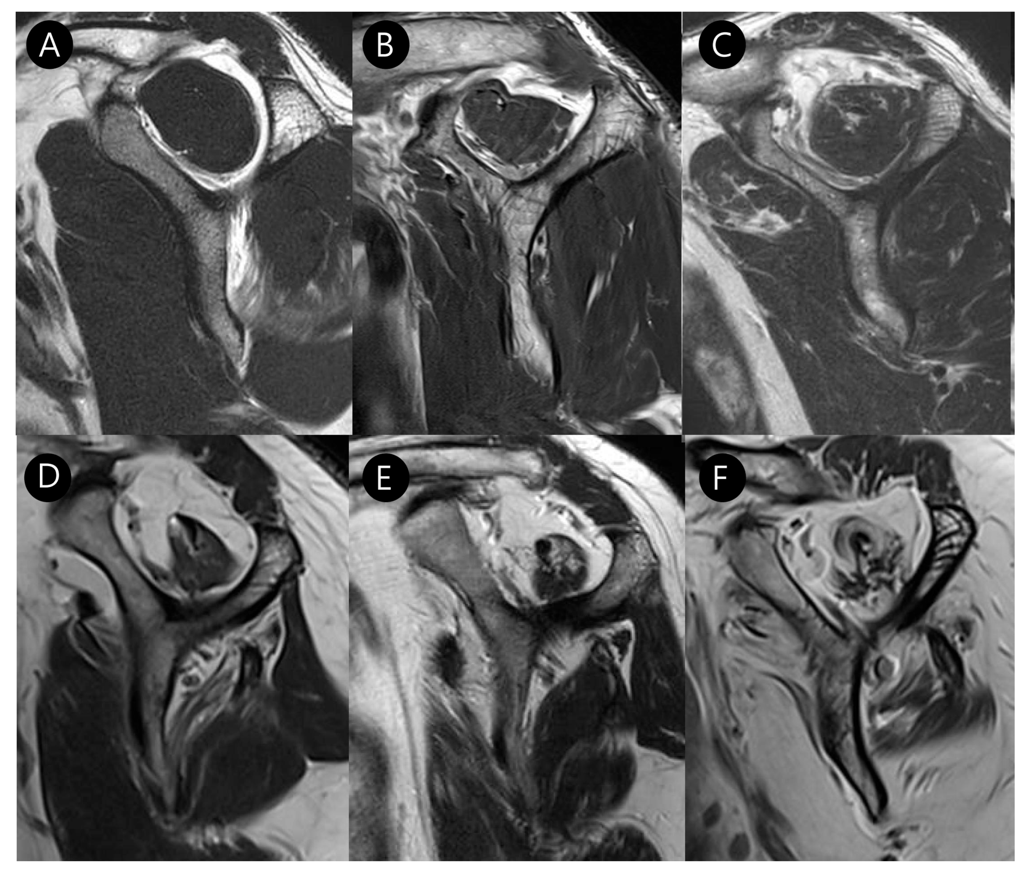 Diagnostics 15 02670 g005 Diagnostics 15 02670 g005