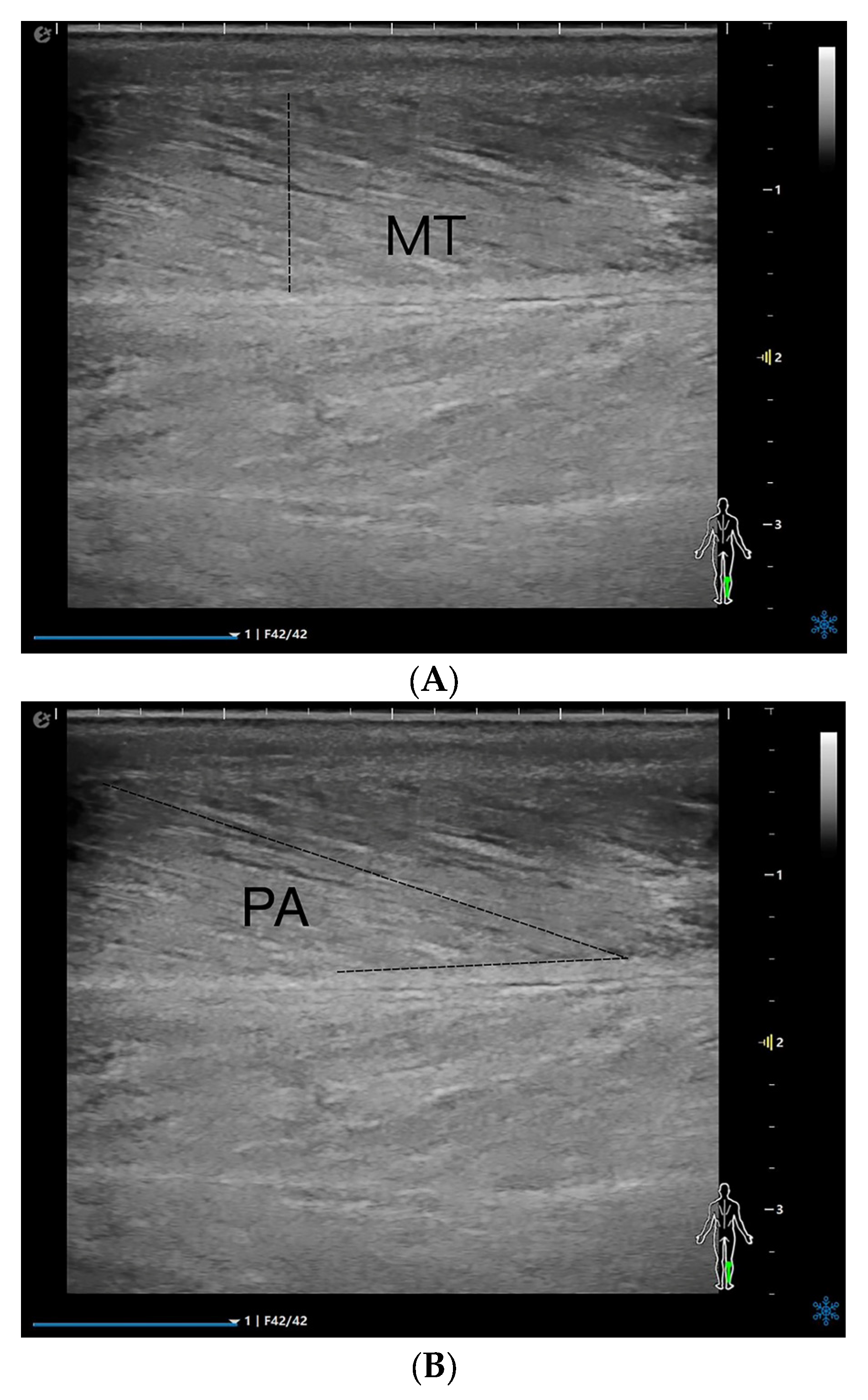 Diagnostics 15 02685 g001a Diagnostics 15 02685 g001a
