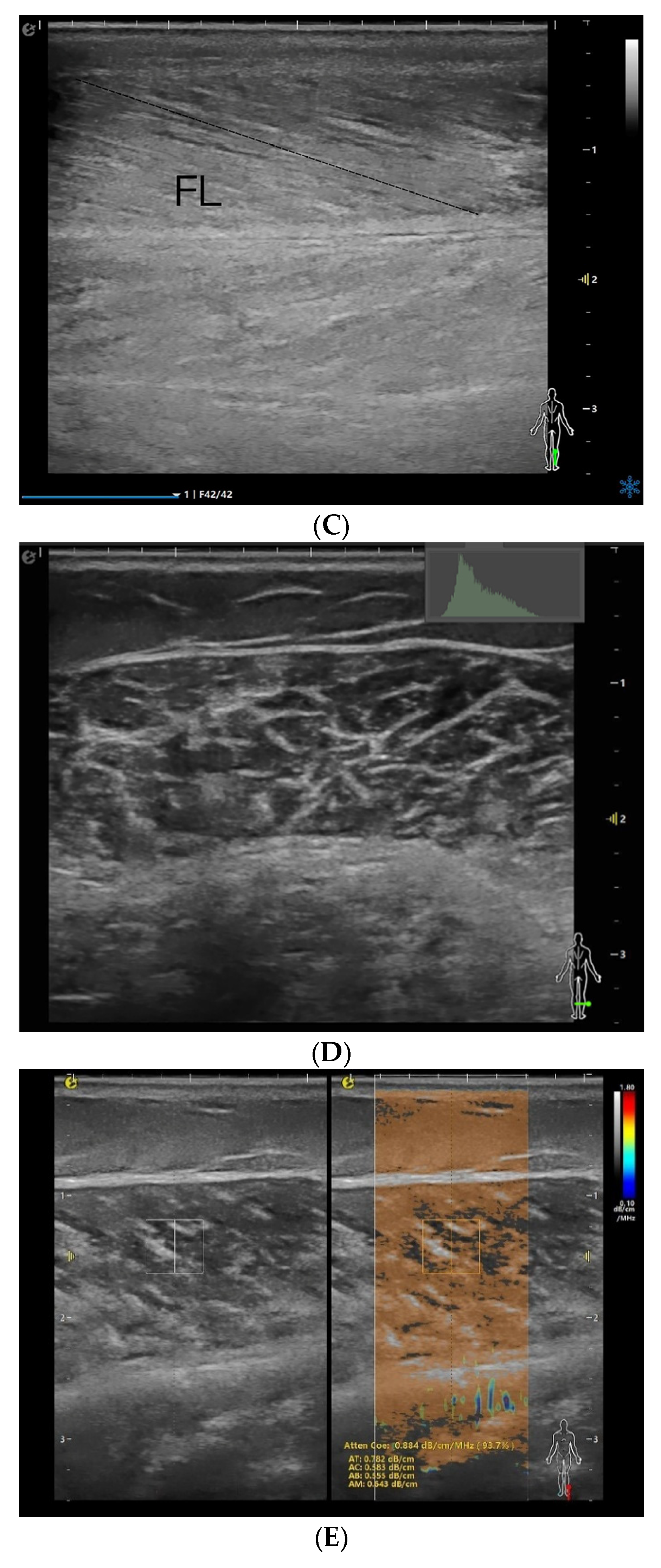 Diagnostics 15 02685 g001b Diagnostics 15 02685 g001b