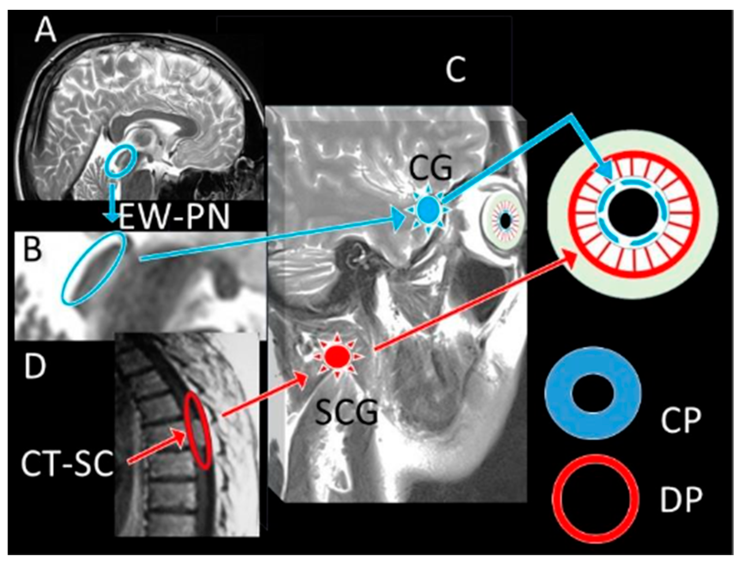 Diagnostics 15 02696 g004 Diagnostics 15 02696 g004