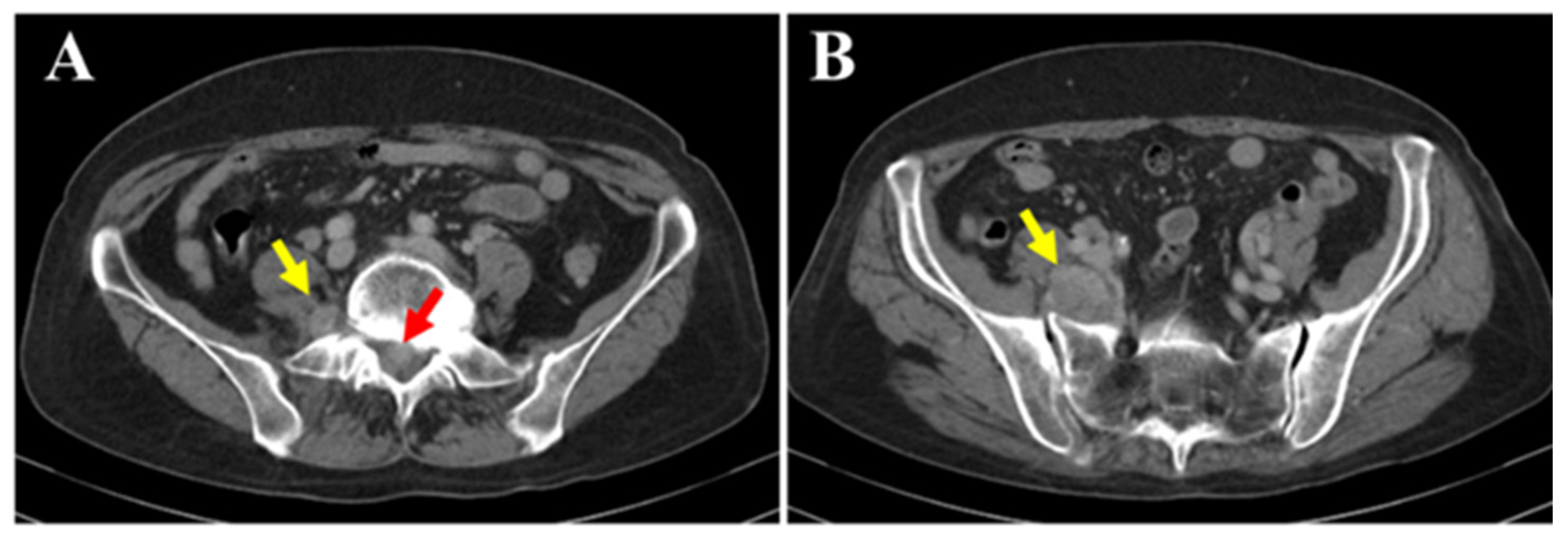 Diagnostics 15 02697 g001 Diagnostics 15 02697 g001