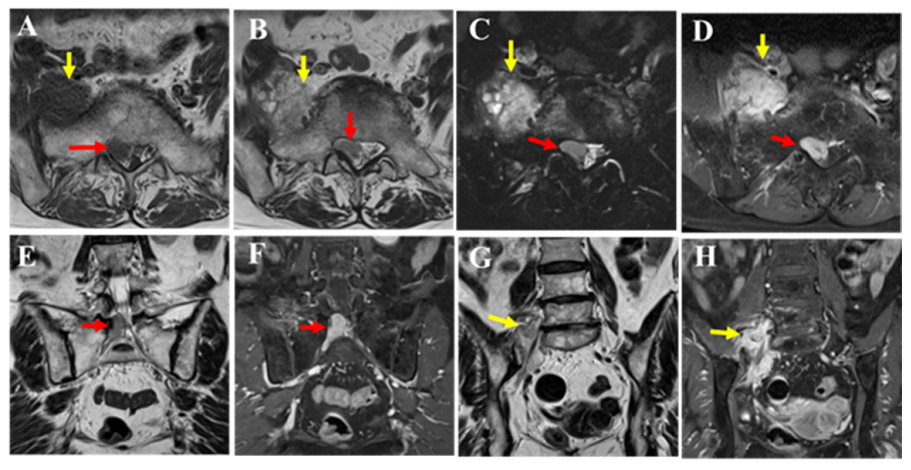 Diagnostics 15 02697 g002 Diagnostics 15 02697 g002