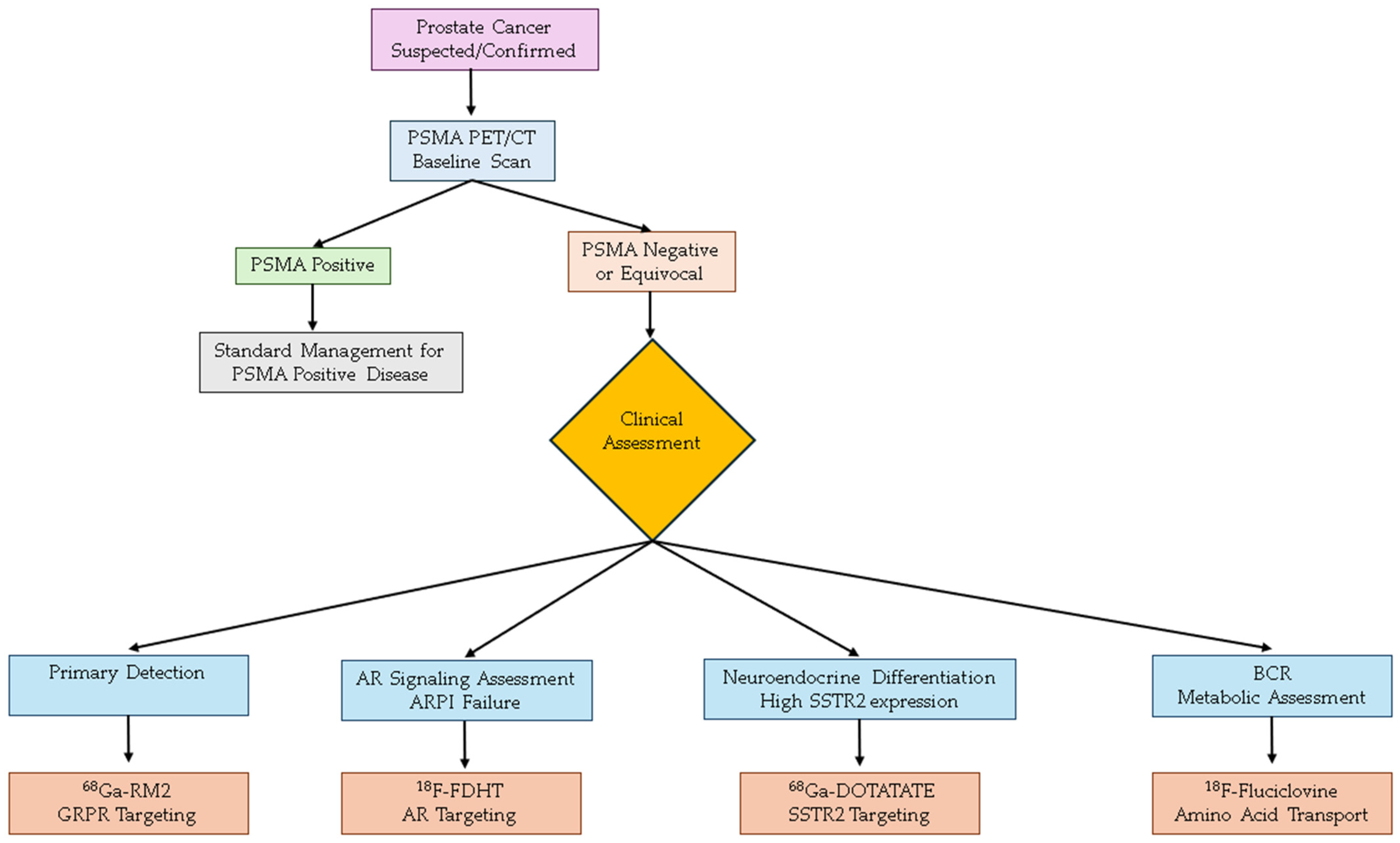 Diagnostics 15 02737 g001 Diagnostics 15 02737 g001