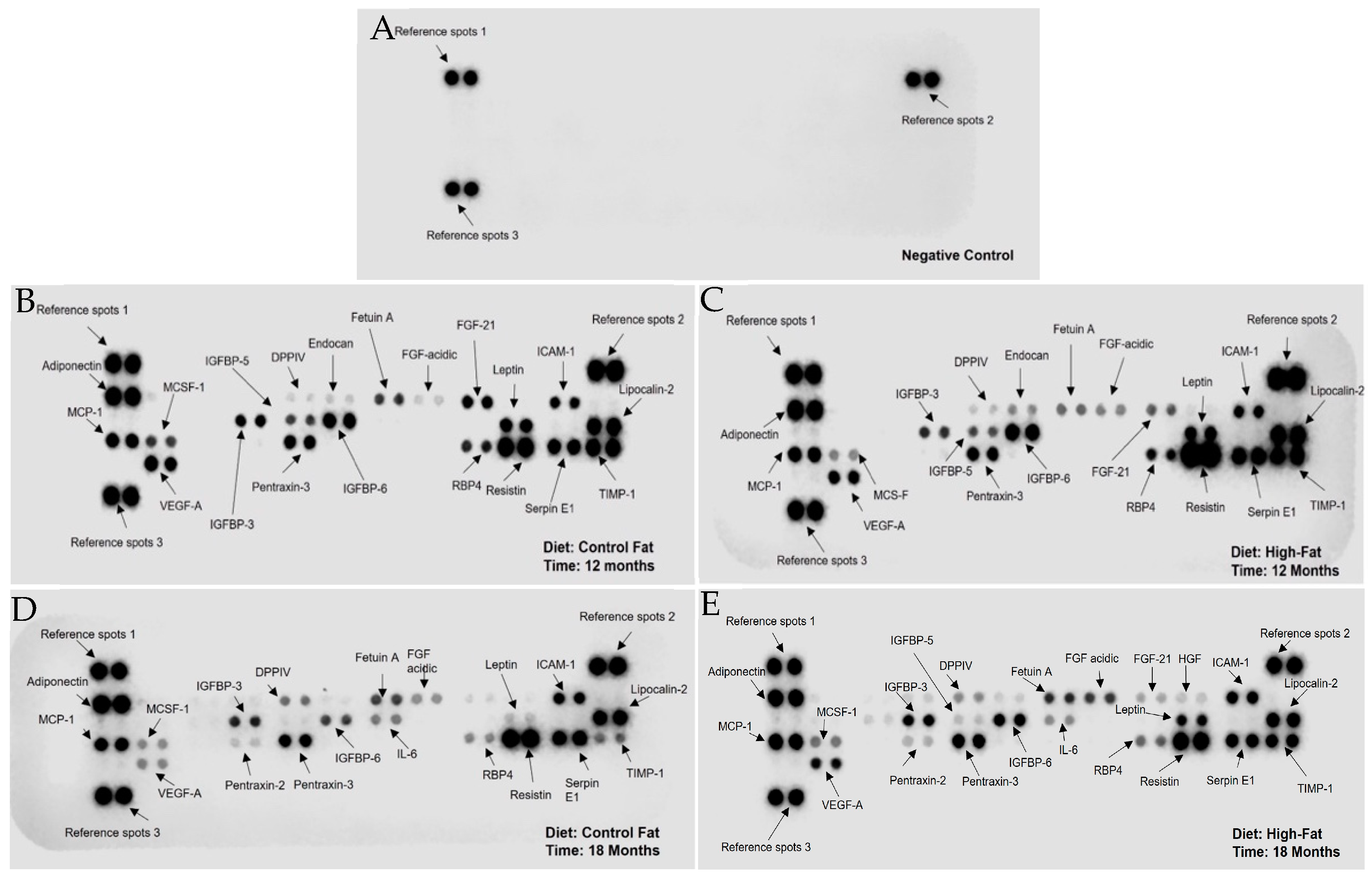 Dietetics 03 00016 g002