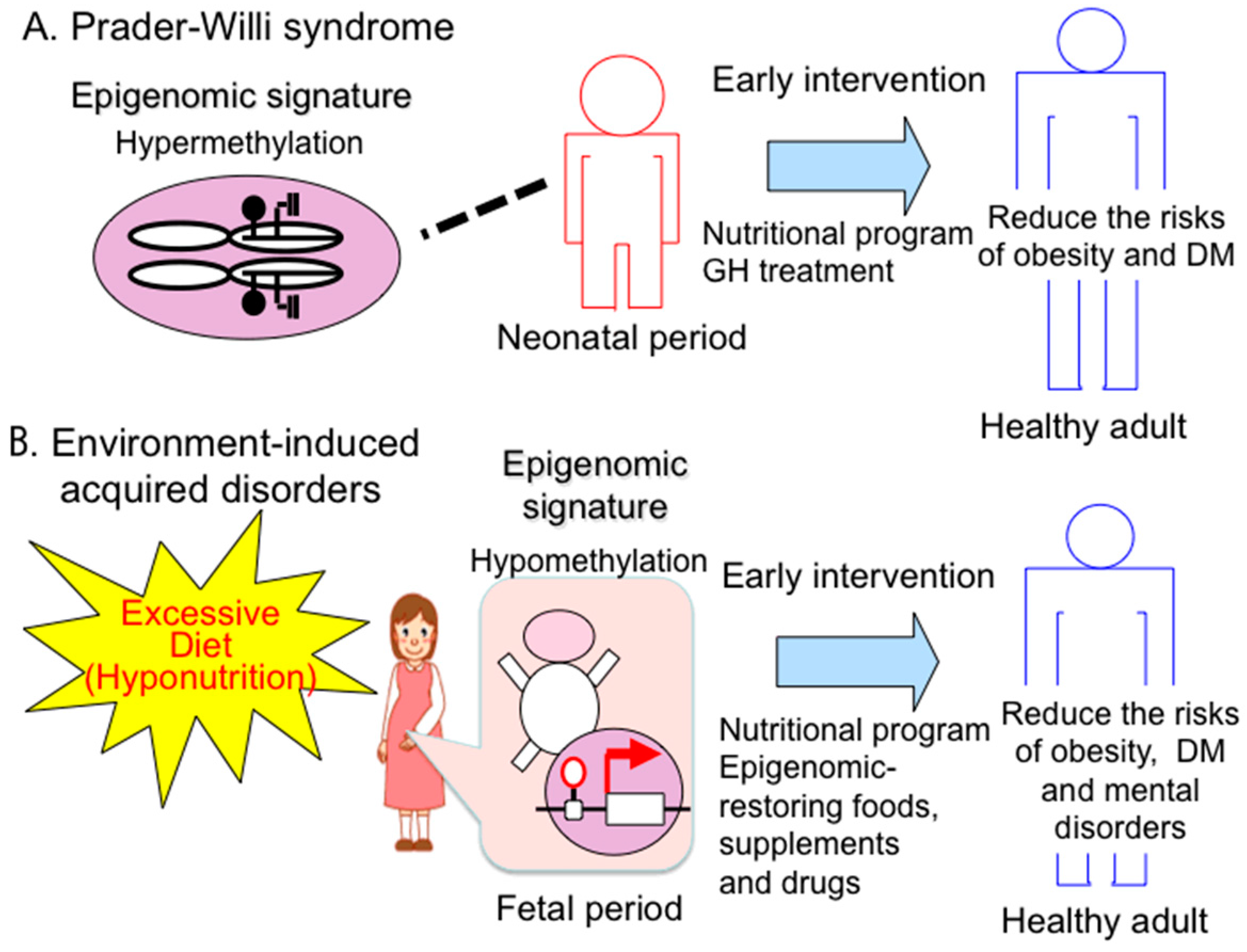 Diseases | Free Full-Text | Prader-Willi Syndrome: The Disease that Opened  up Epigenomic-Based Preemptive Medicine