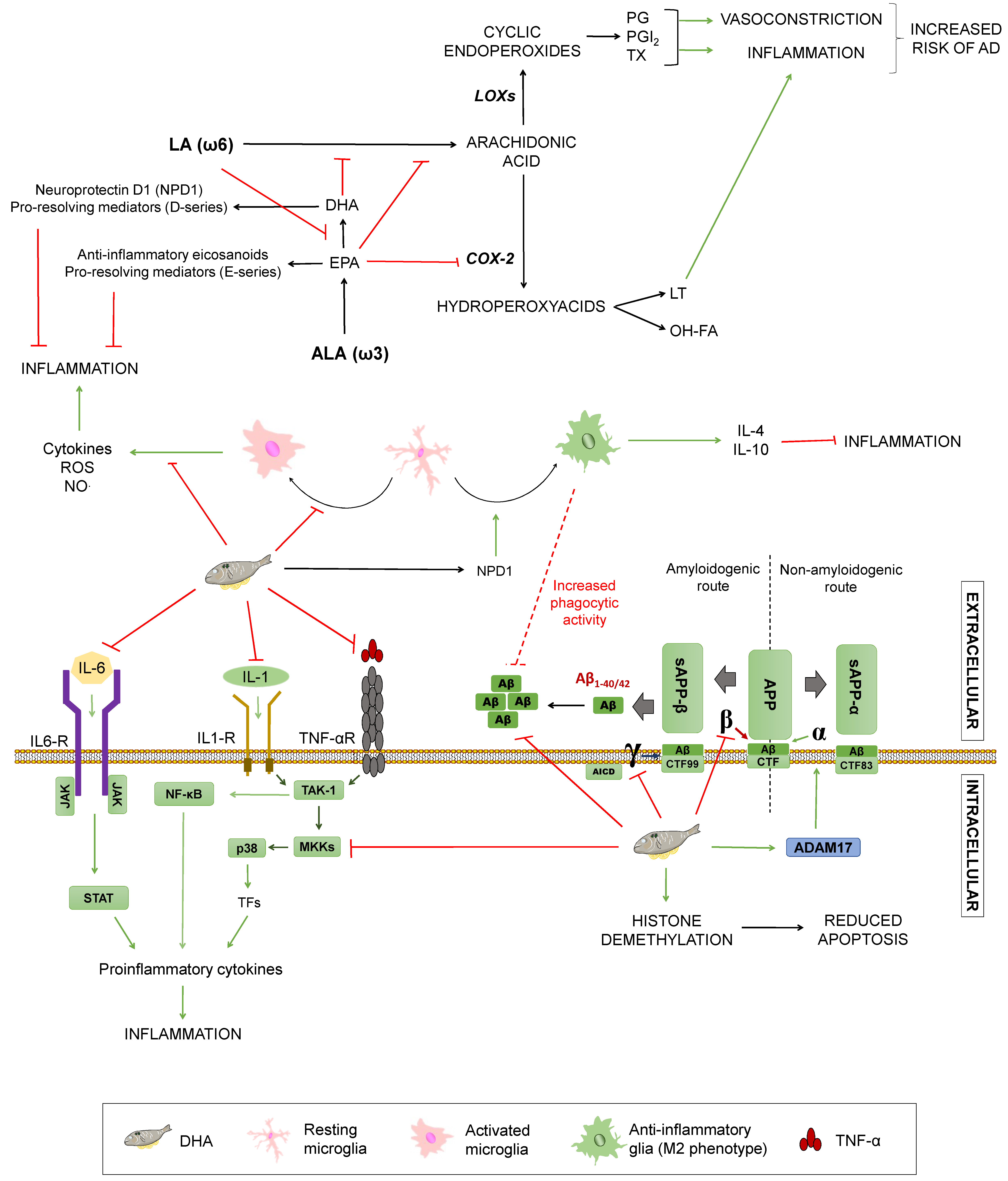 Diseases 07 00012 g004