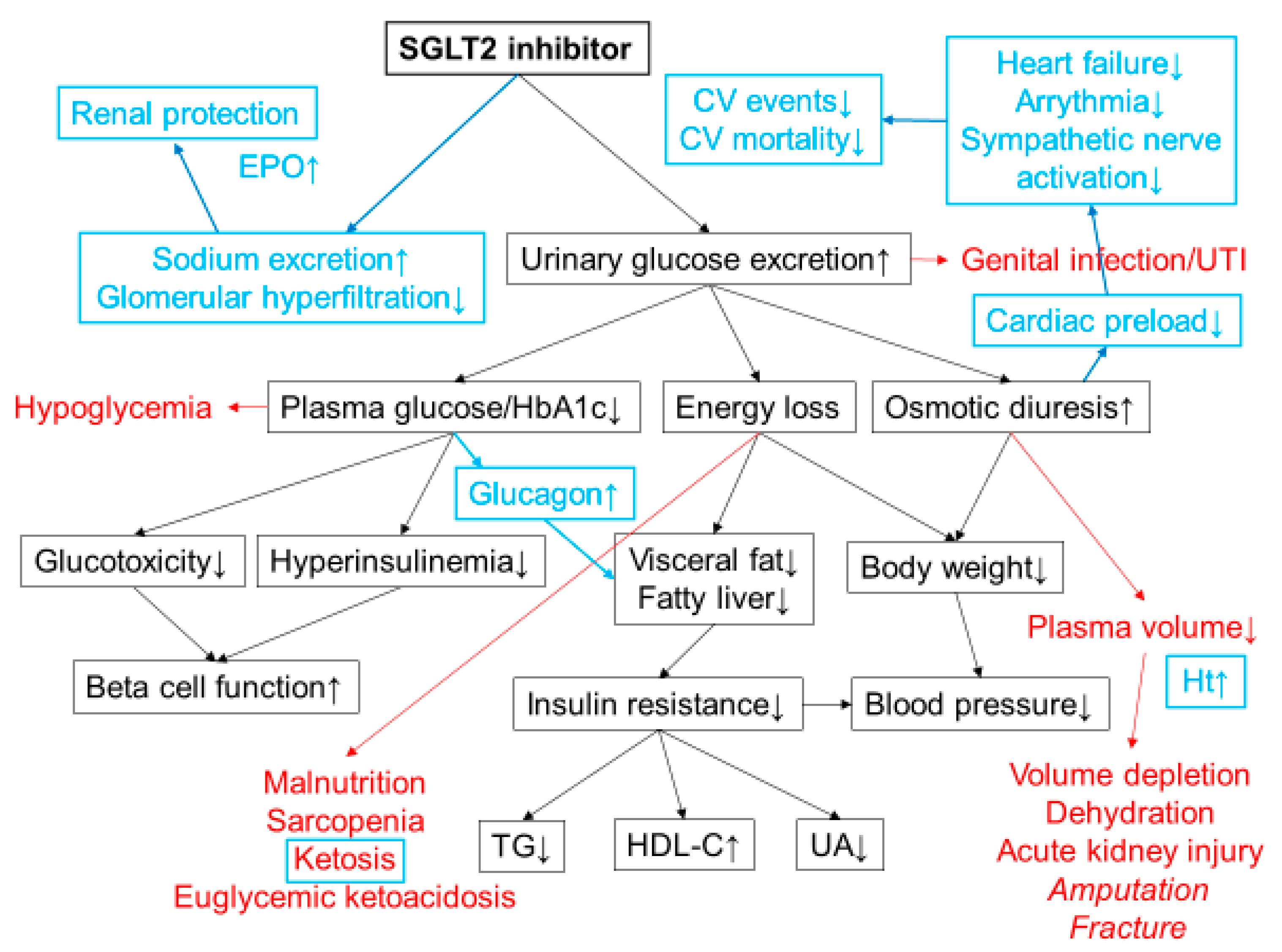 Diseases 08 00014 g001