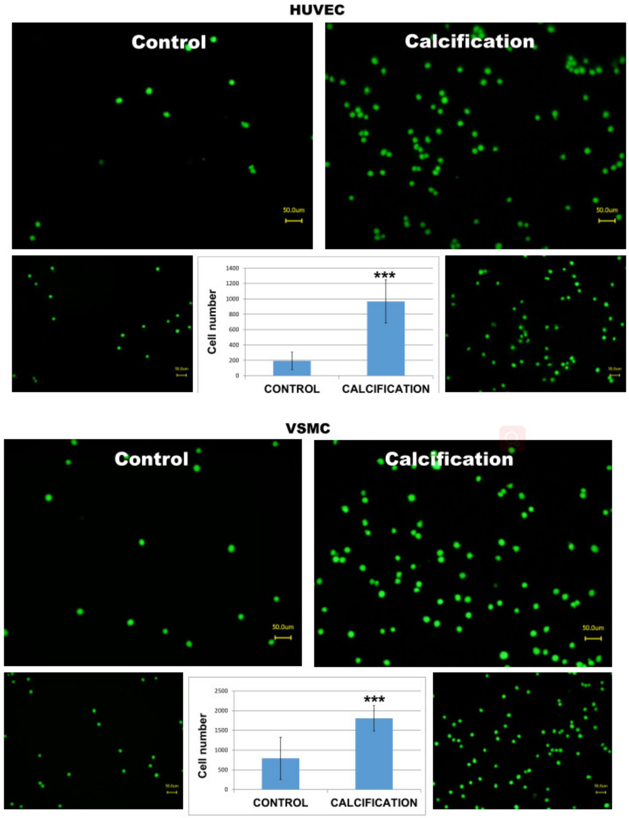 Diseases 09 00019 g004 Diseases 09 00019 g004