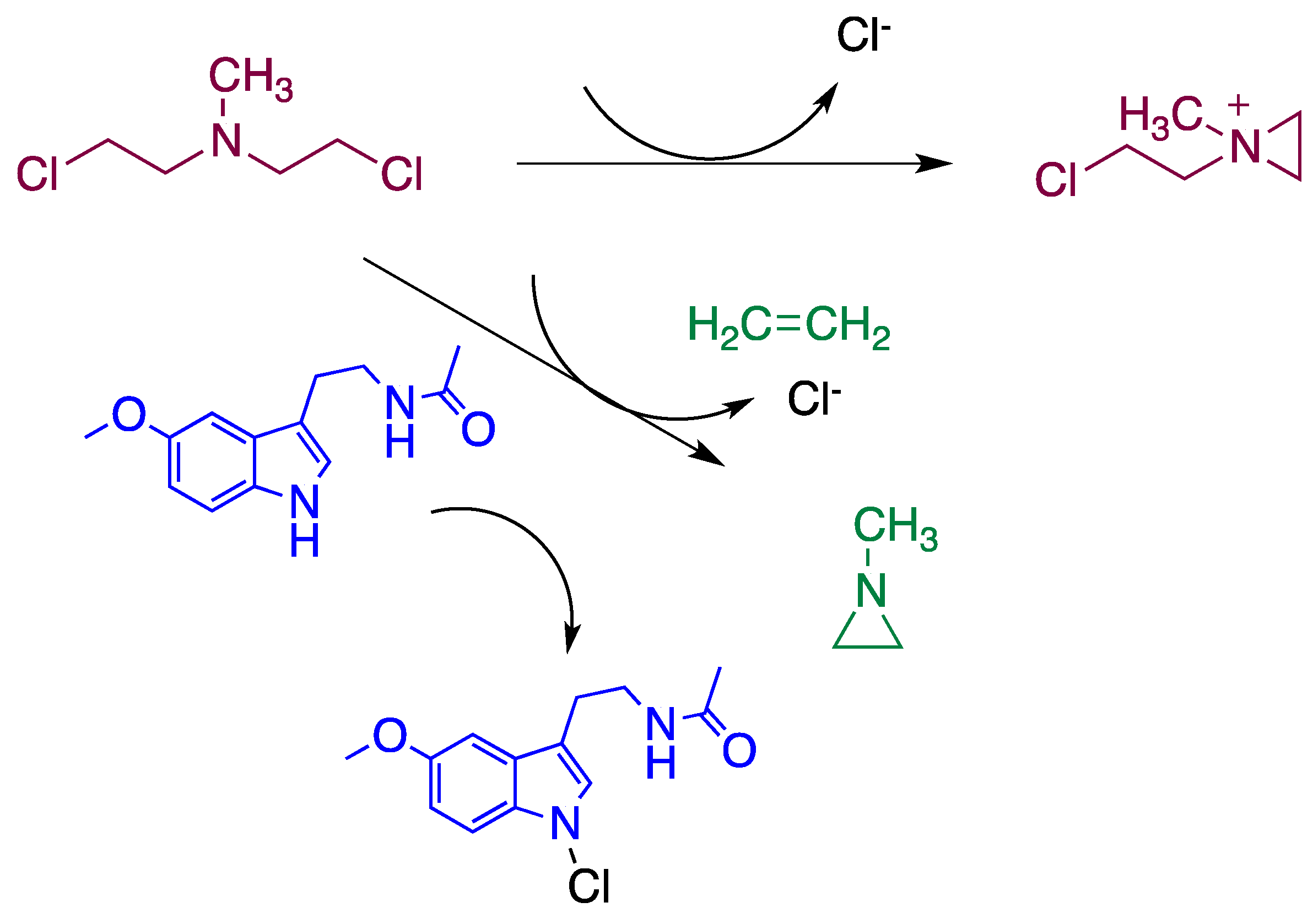 Diseases 09 00027 sch002