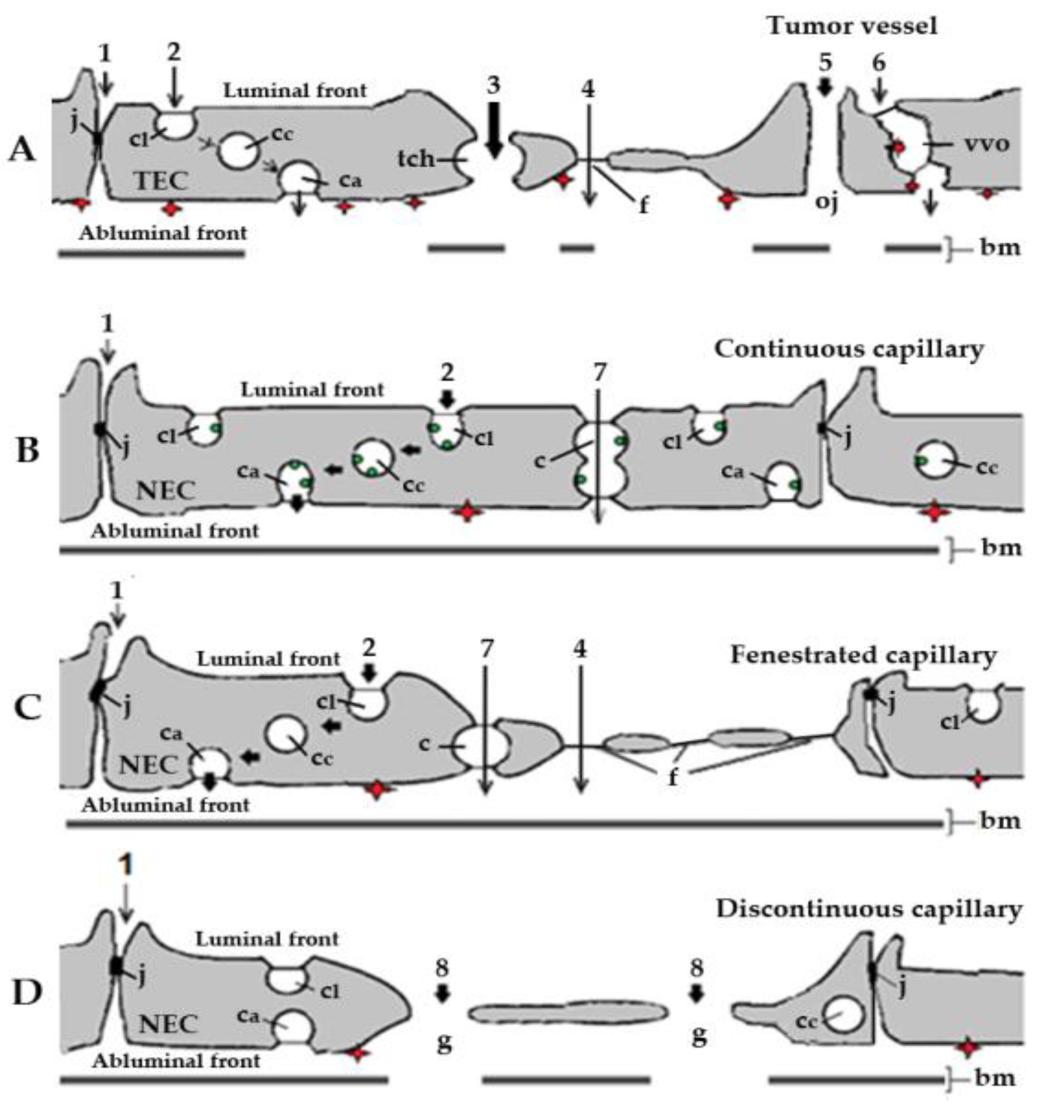 Diseases 09 00028 g001 Diseases 09 00028 g001