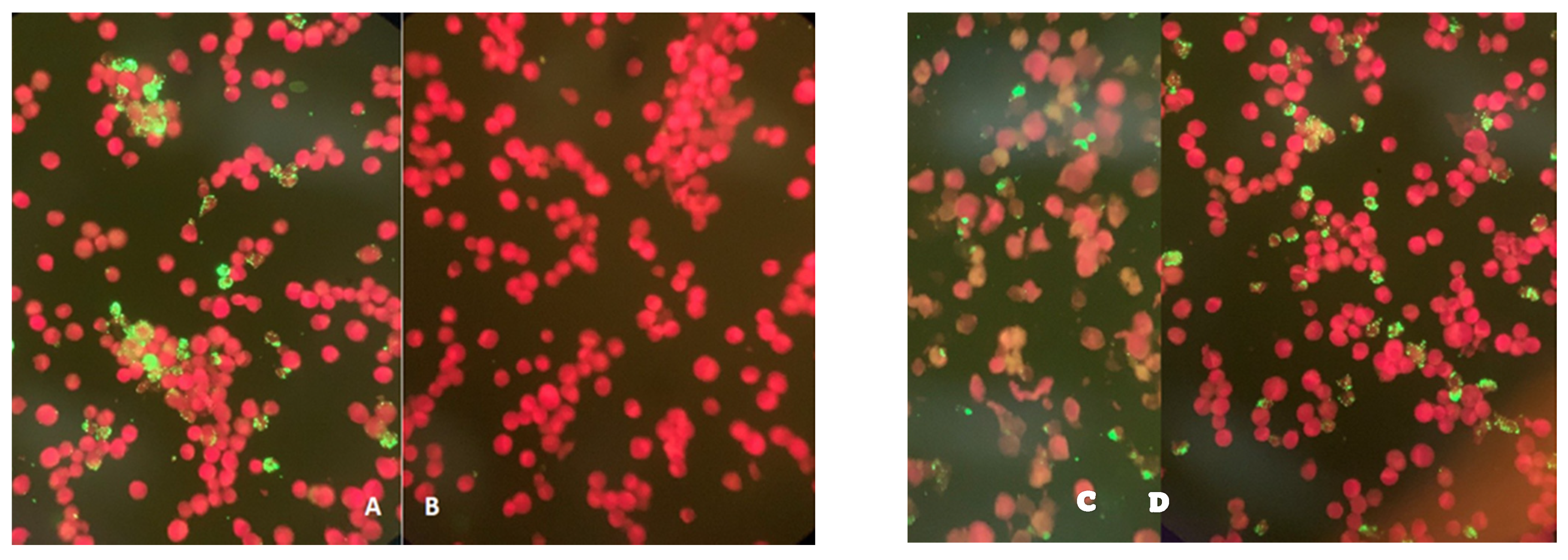 Diseases 09 00037 g001 Diseases 09 00037 g001