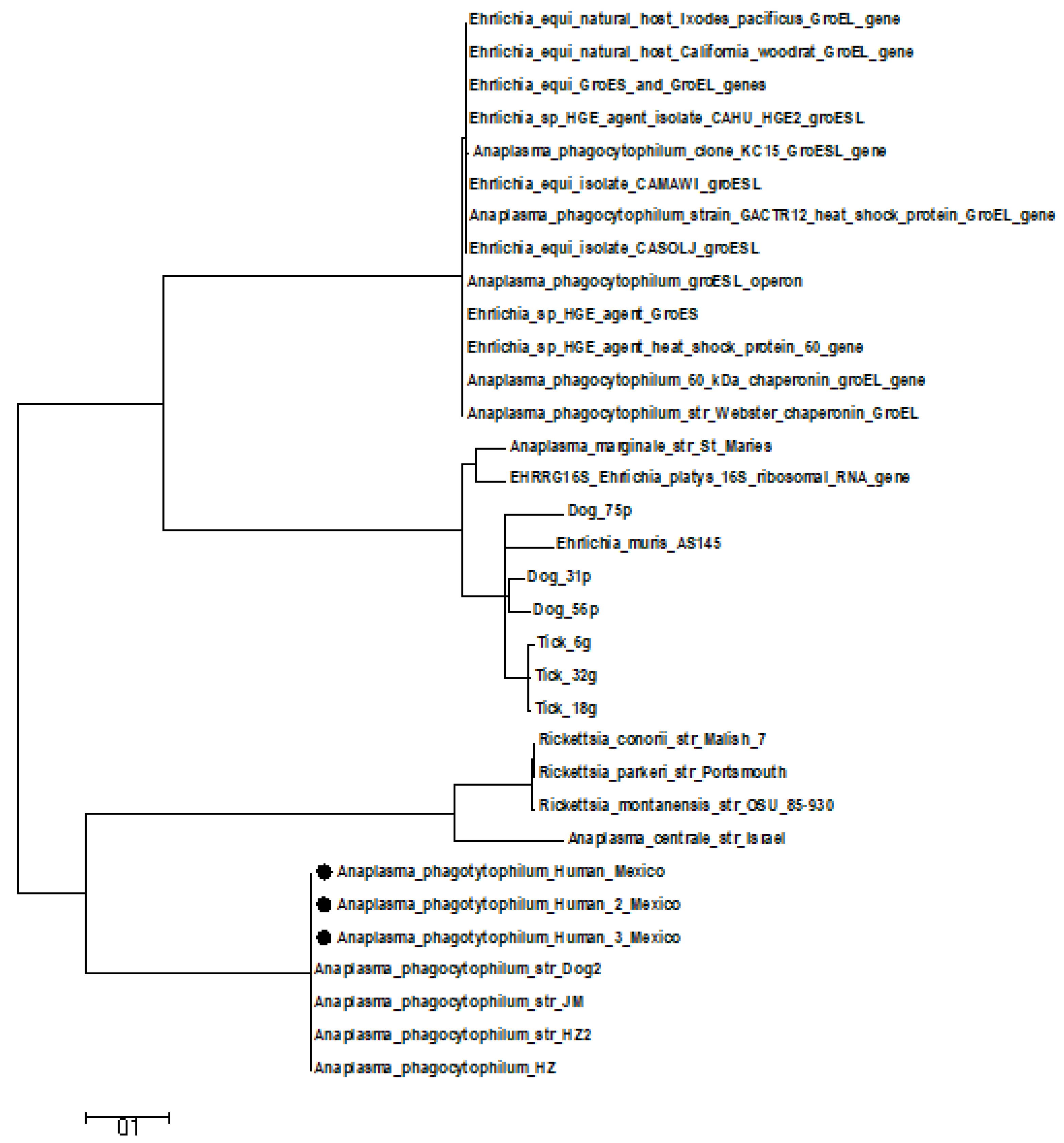Diseases 09 00037 g002 Diseases 09 00037 g002