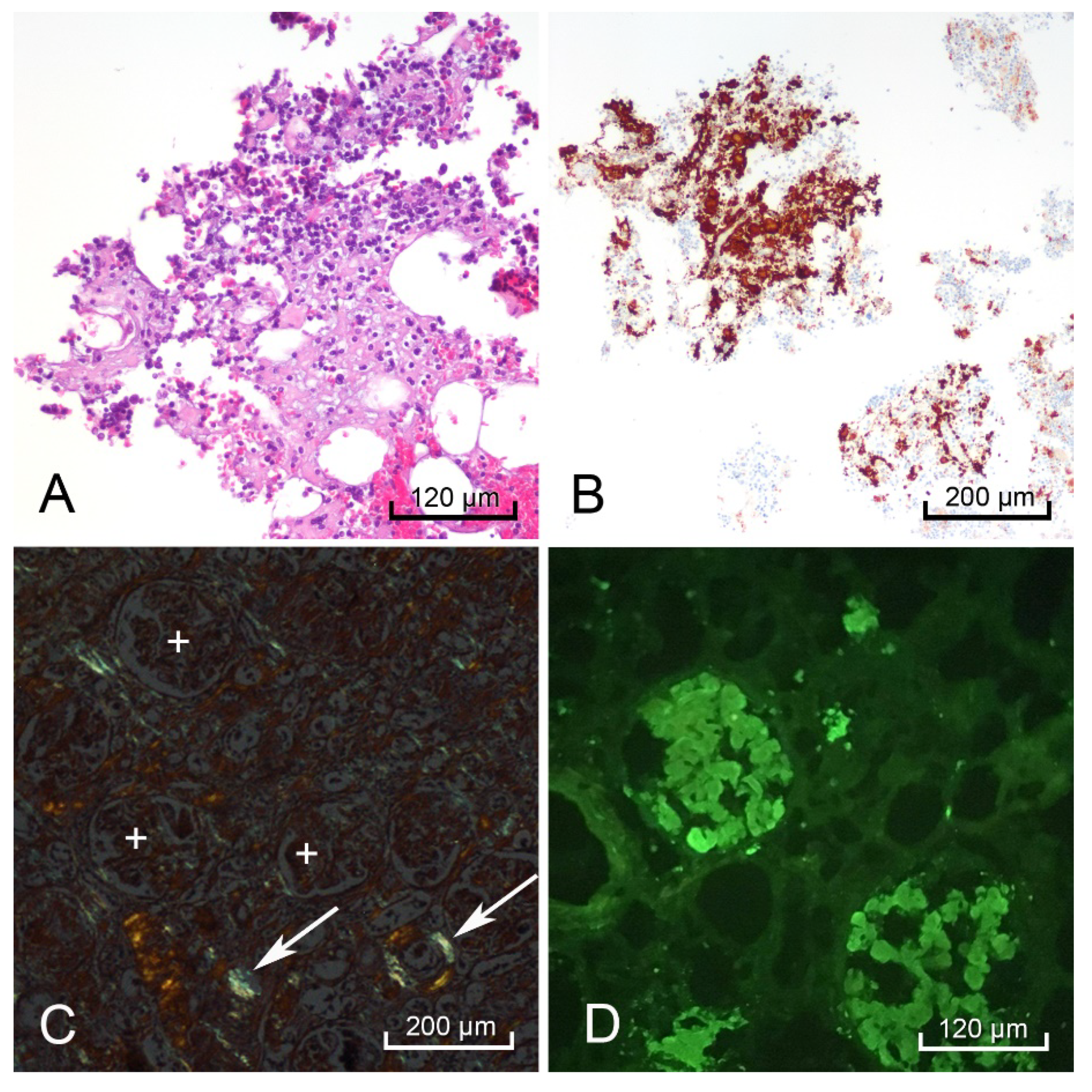 Diseases 09 00040 g004 Diseases 09 00040 g004