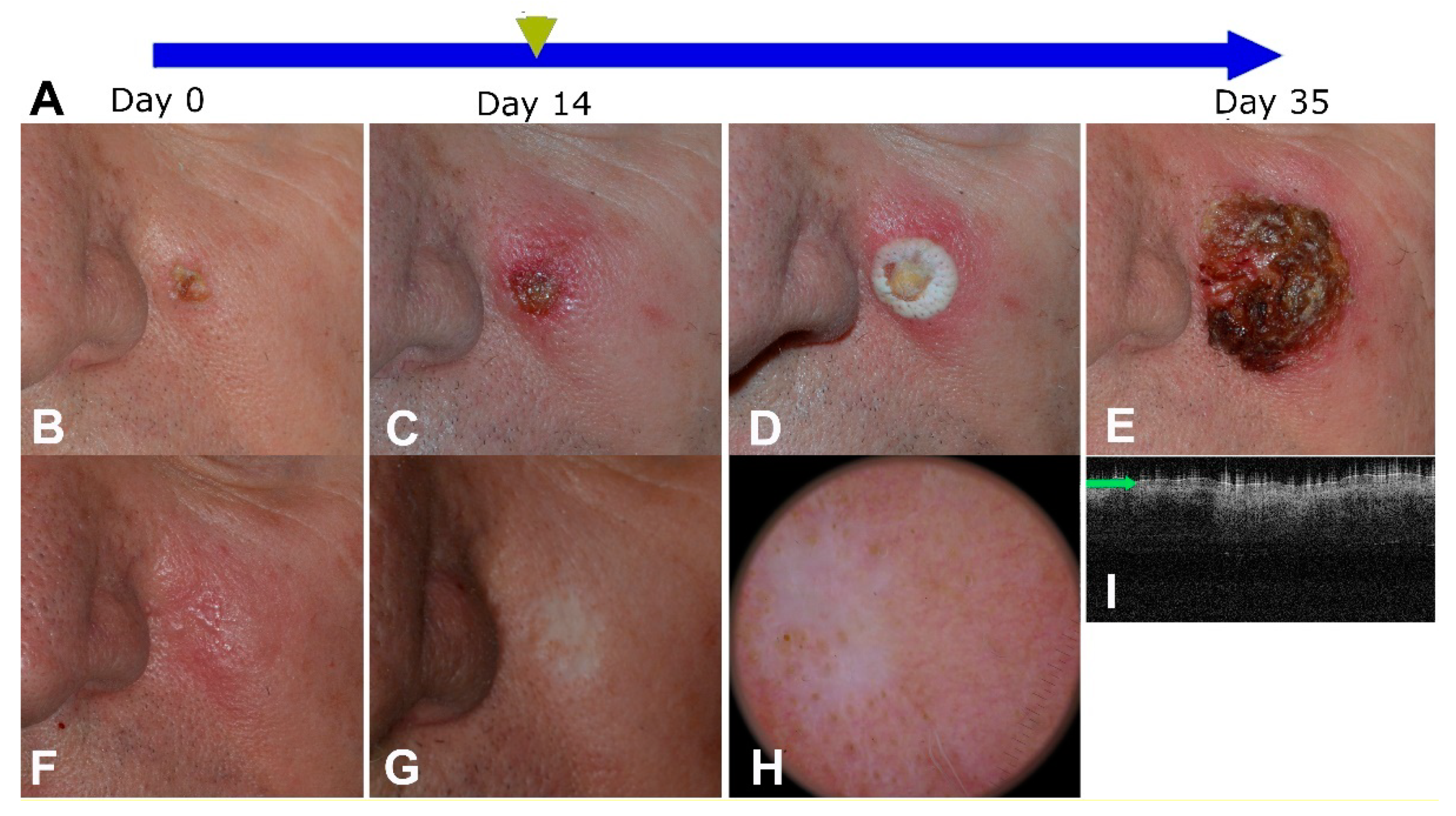 Diseases 09 00071 g002 Diseases 09 00071 g002