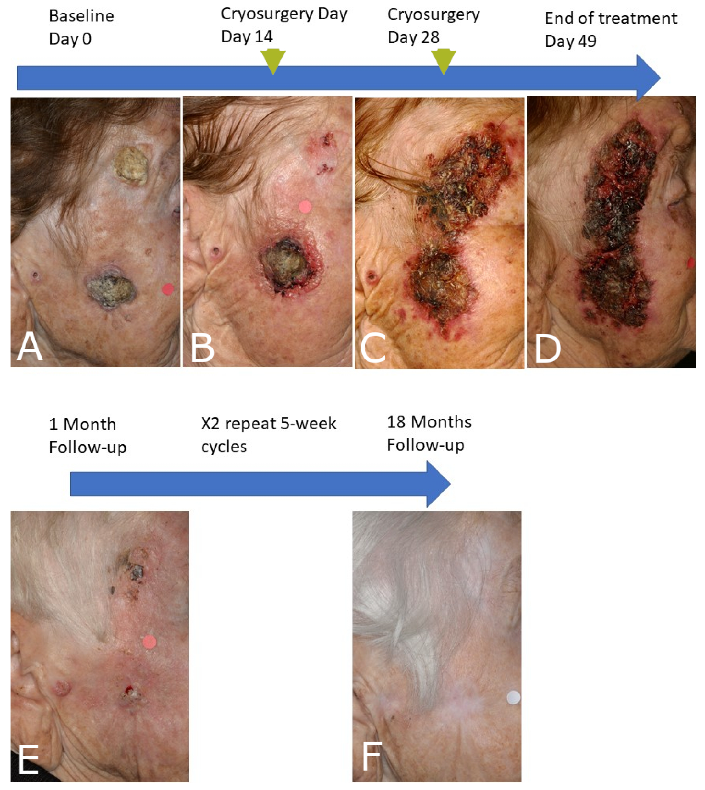 Diseases 09 00071 g004 Diseases 09 00071 g004