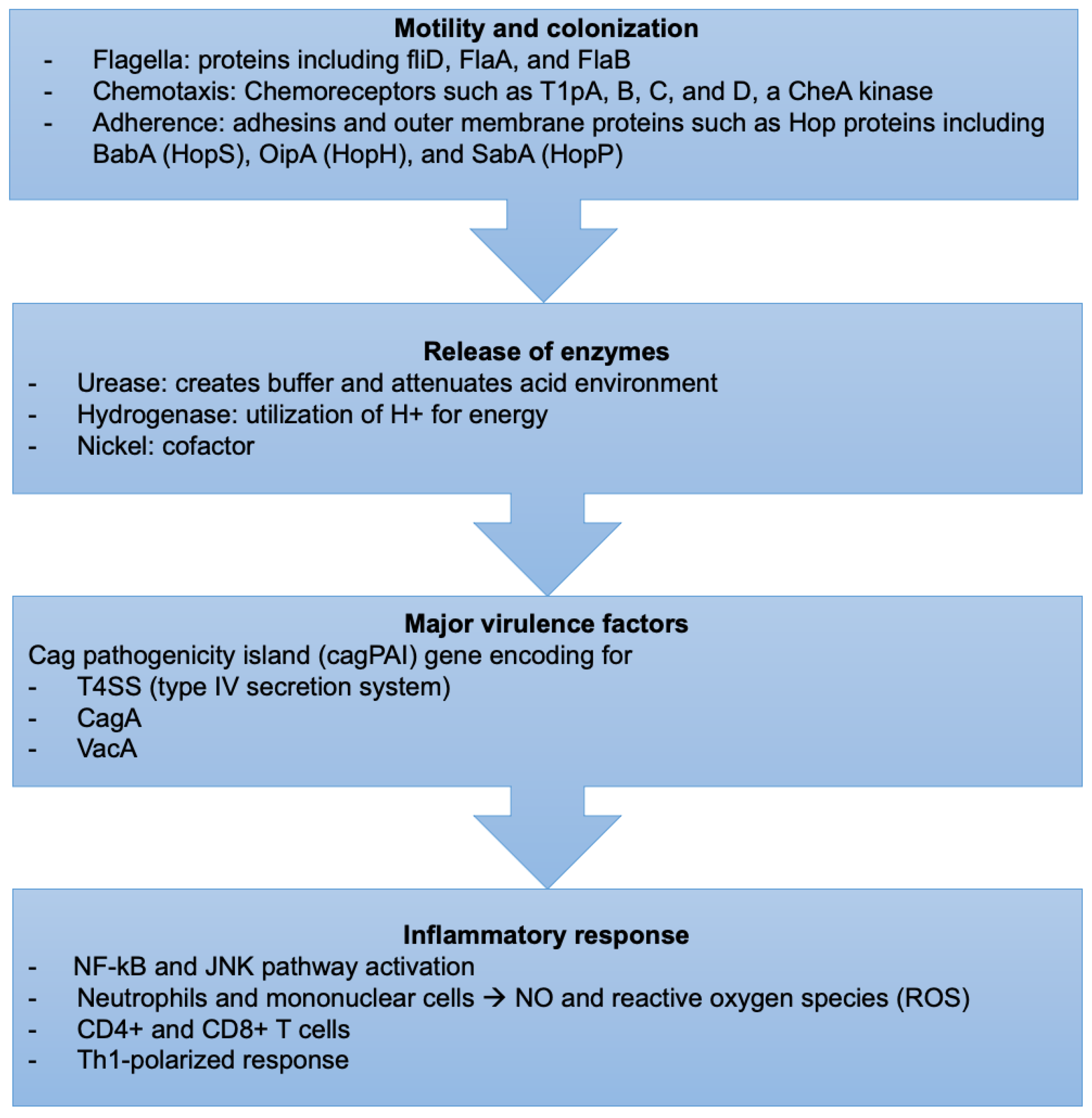 Diseases 10 00035 g002 Diseases 10 00035 g002