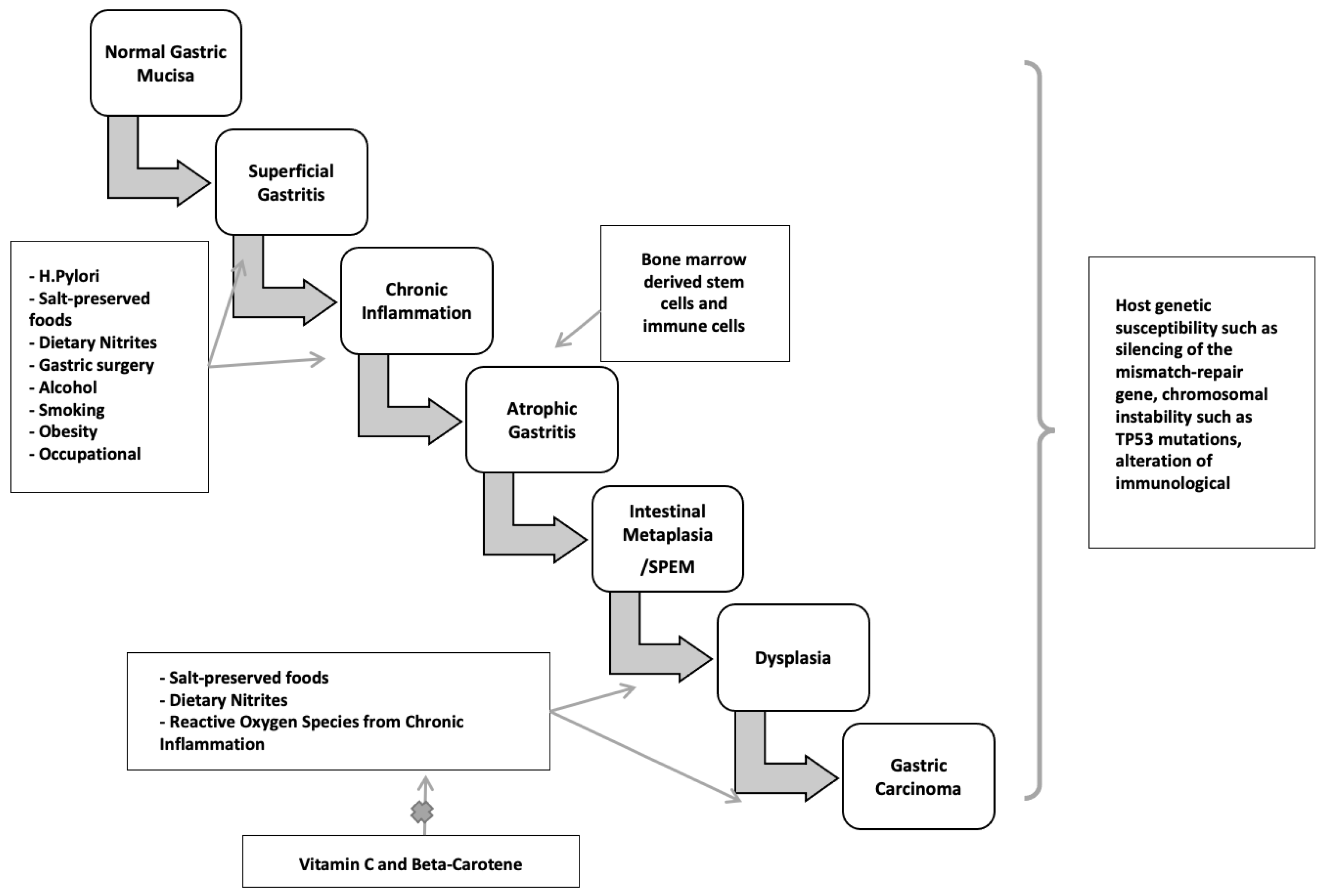 Diseases 10 00035 g003 Diseases 10 00035 g003