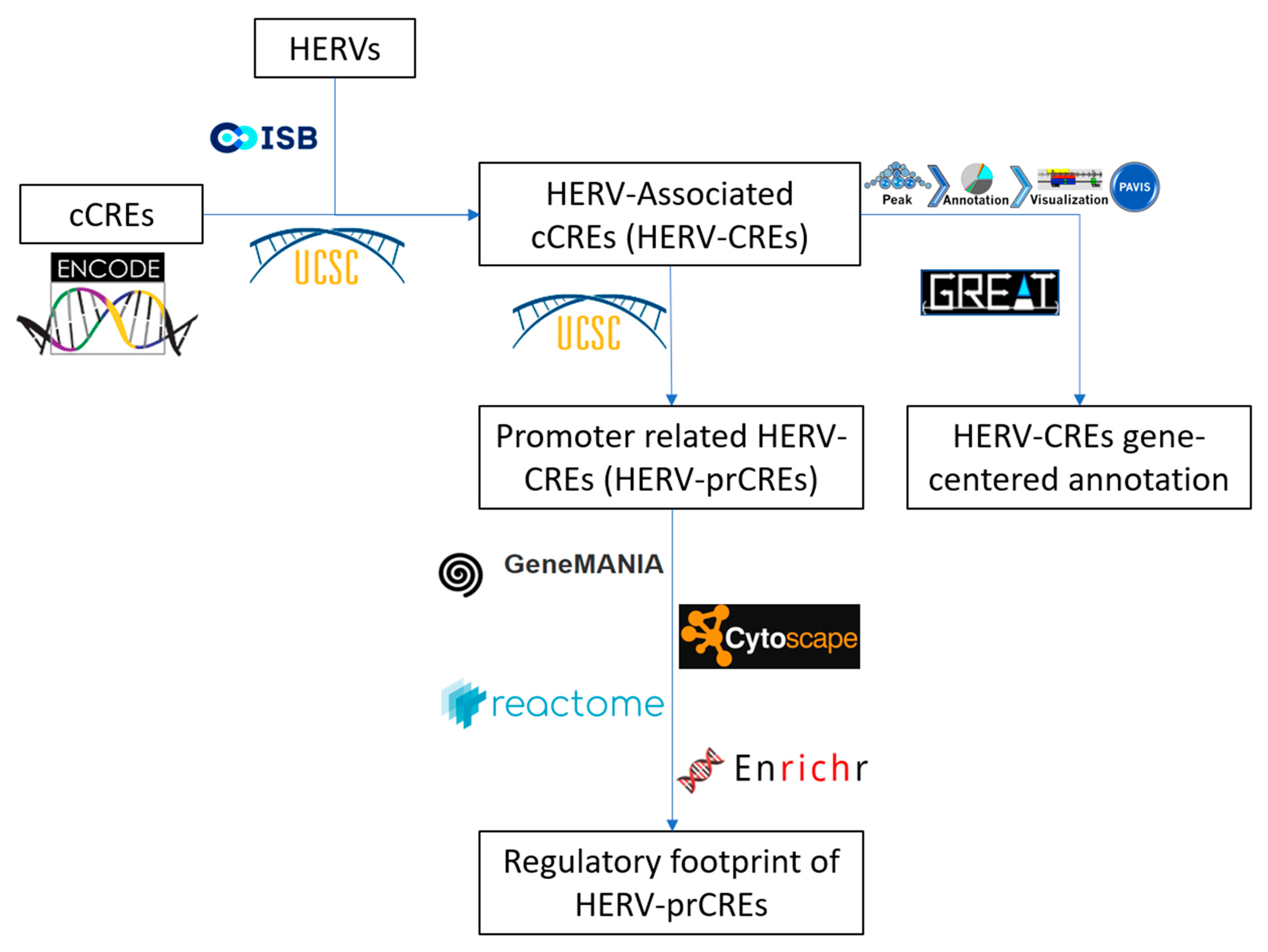 Diseases | Free Full-Text | A Systems Biology Approach on the Regulatory  Footprint of Human Endogenous Retroviruses (HERVs)