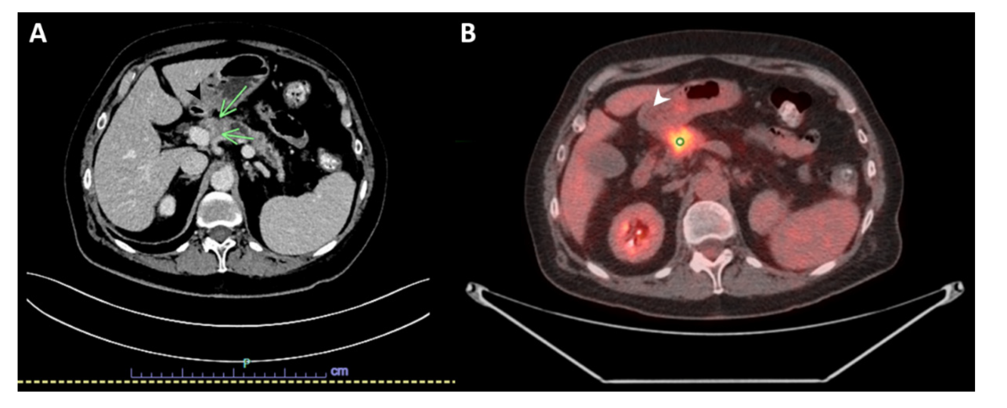 Diseases 10 00115 g001 Diseases 10 00115 g001