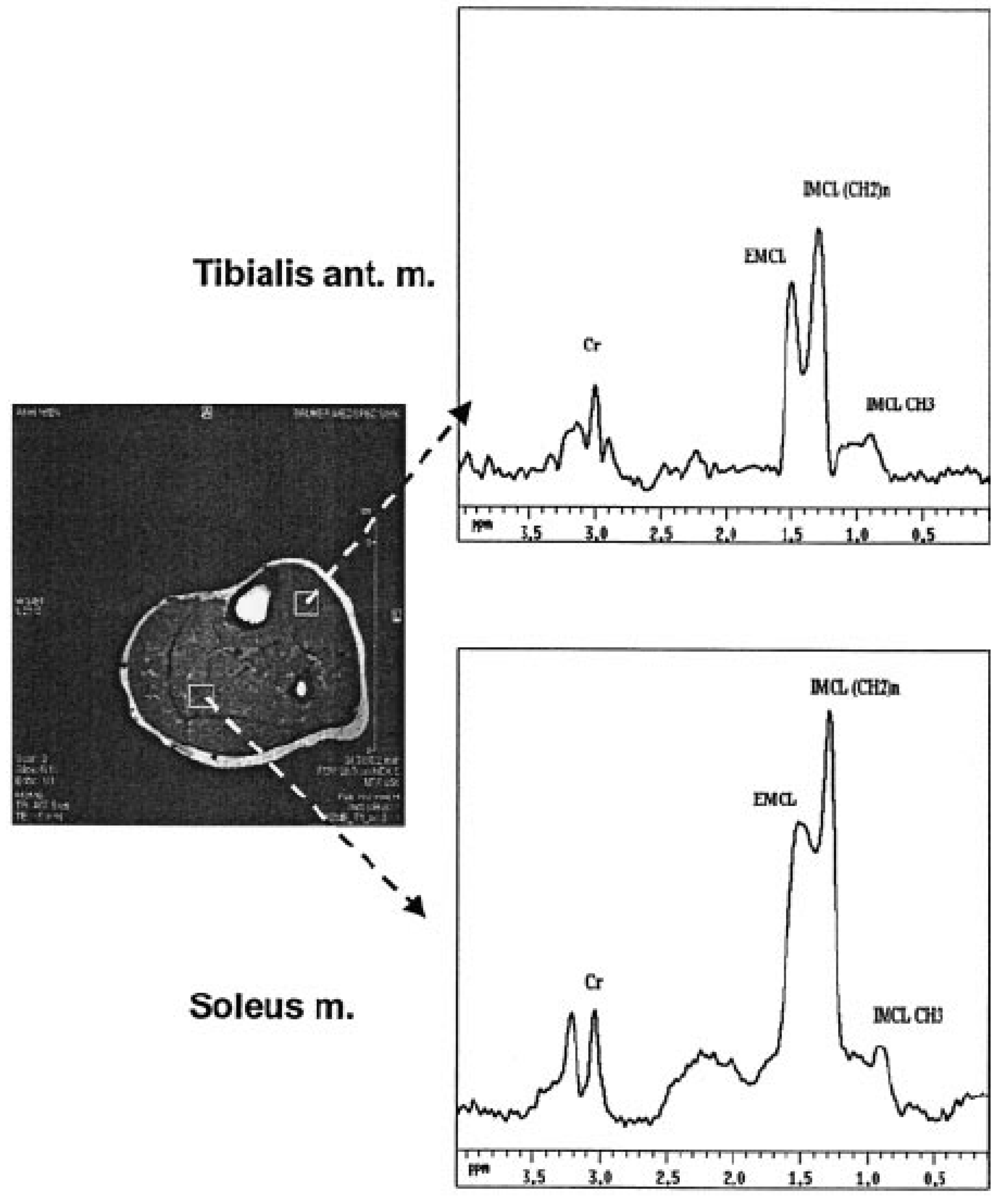 Diseases 11 00016 g002