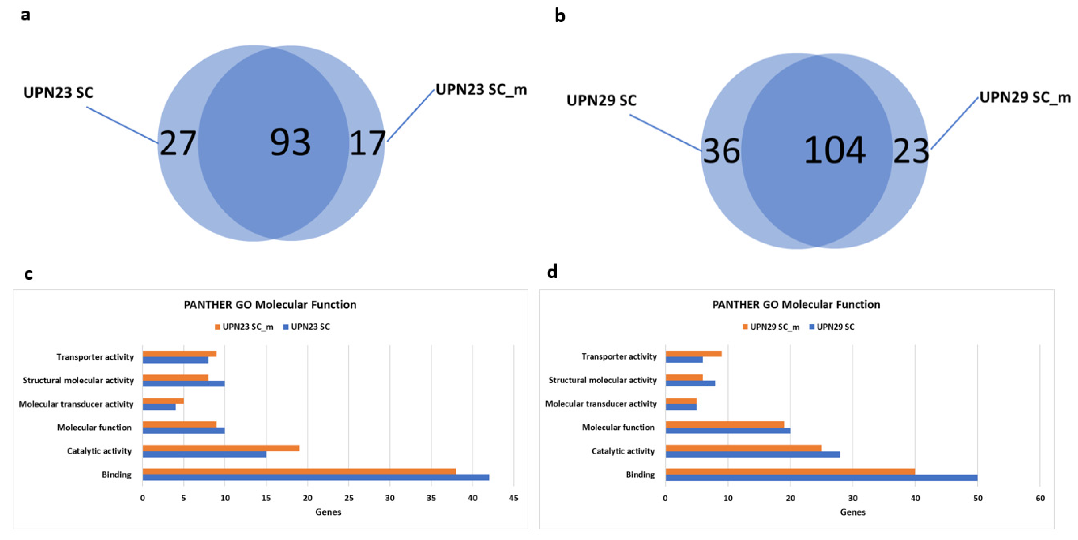 Diseases 11 00096 g003