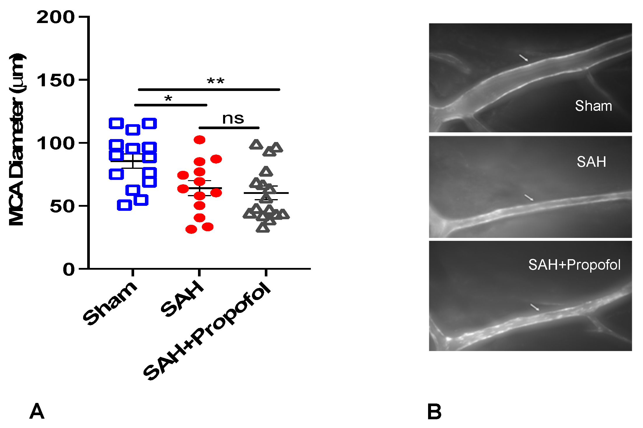 Diseases 11 00130 g002