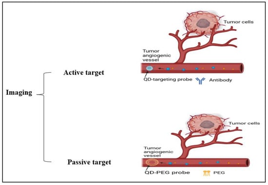 CRISPR/Cas9-mediated inactivation of miR-34a and miR-34b/c in HCT116  colorectal cancer cells: comprehensive characterization after exposure to  5-FU reveals EMT and autophagy as key processes regulated by miR-34