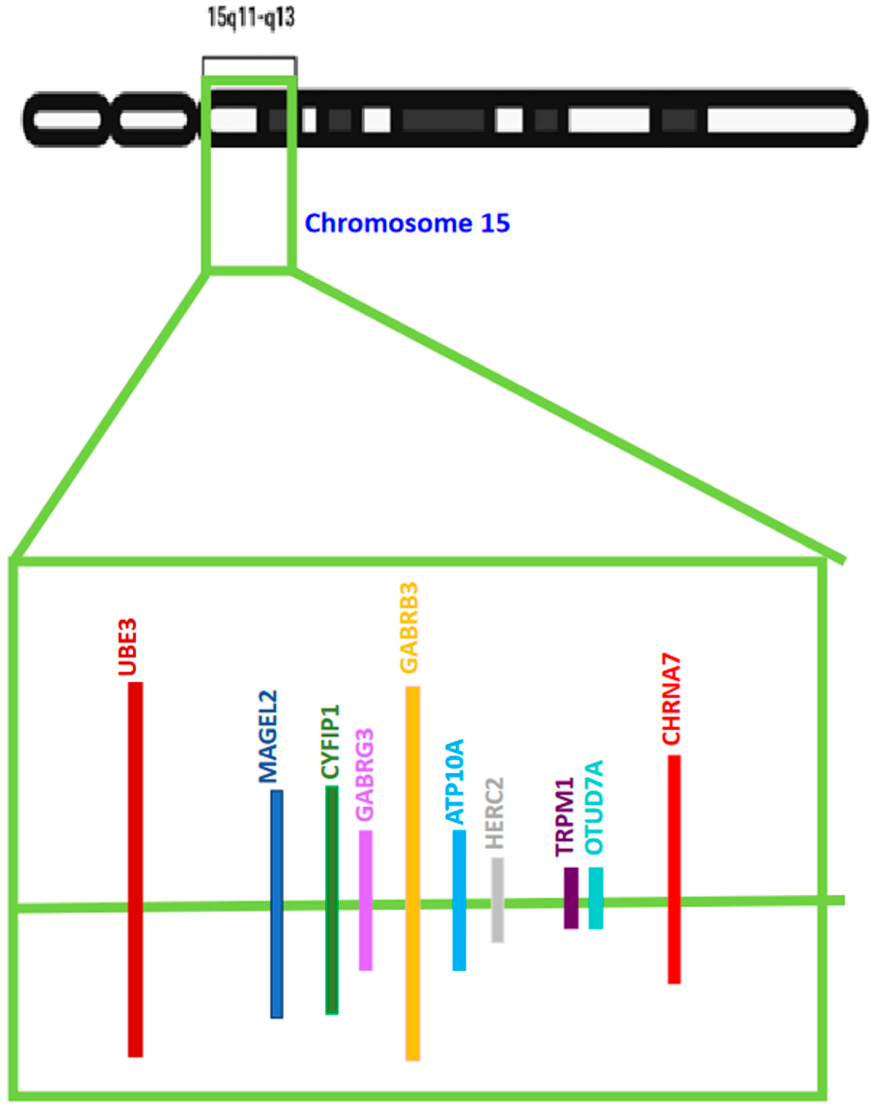 Diseases 12 00007 g002 Diseases 12 00007 g002