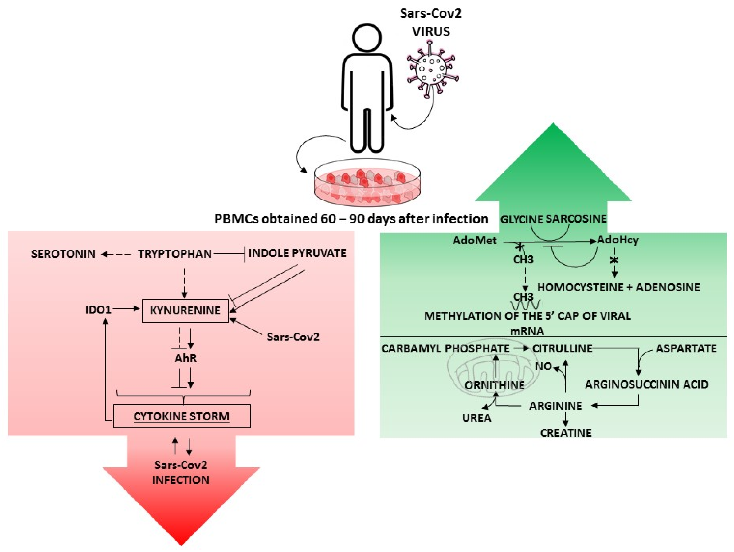 Diseases 12 00043 g001