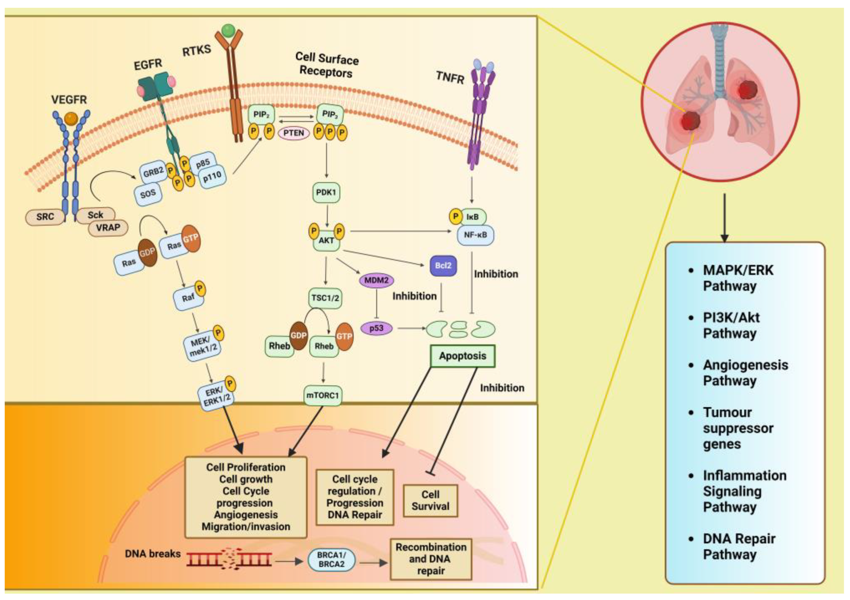 Diseases 12 00093 g002