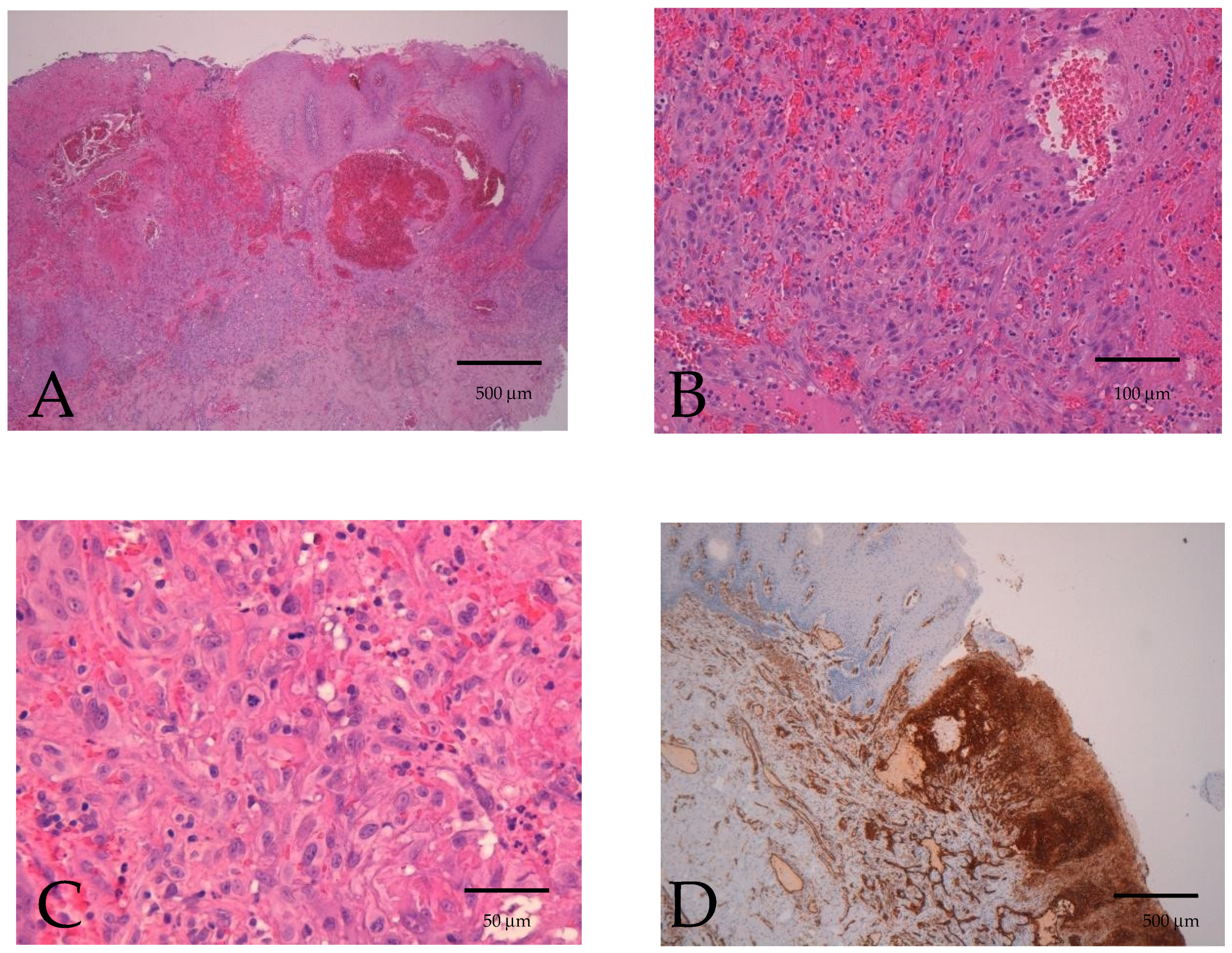 Diseases 12 00117 g002