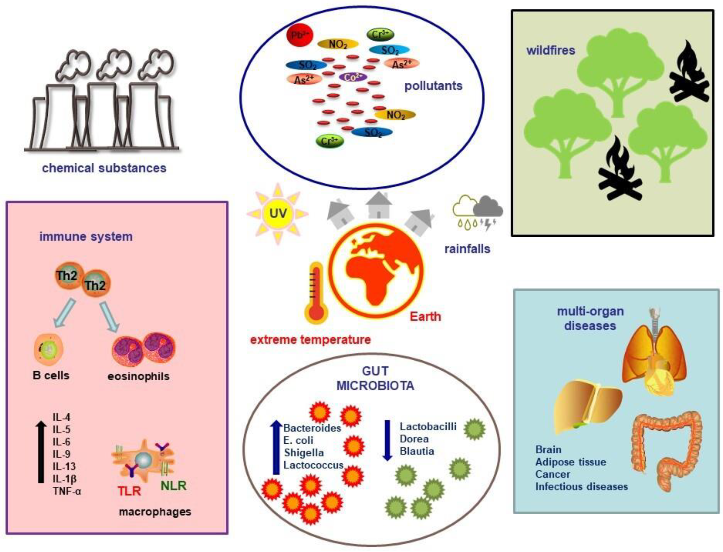 Diseases 12 00118 g001