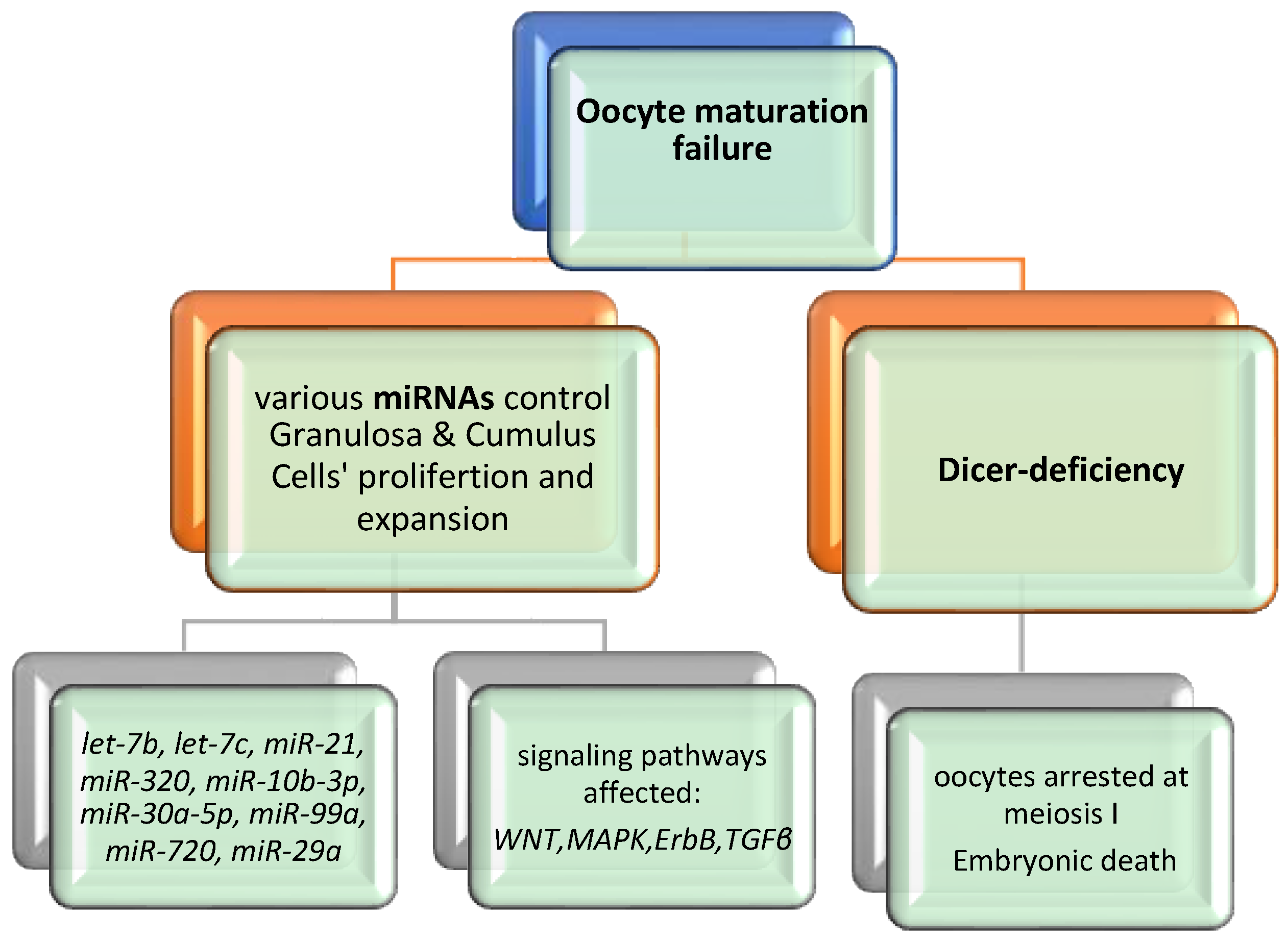 Diseases 12 00121 g004