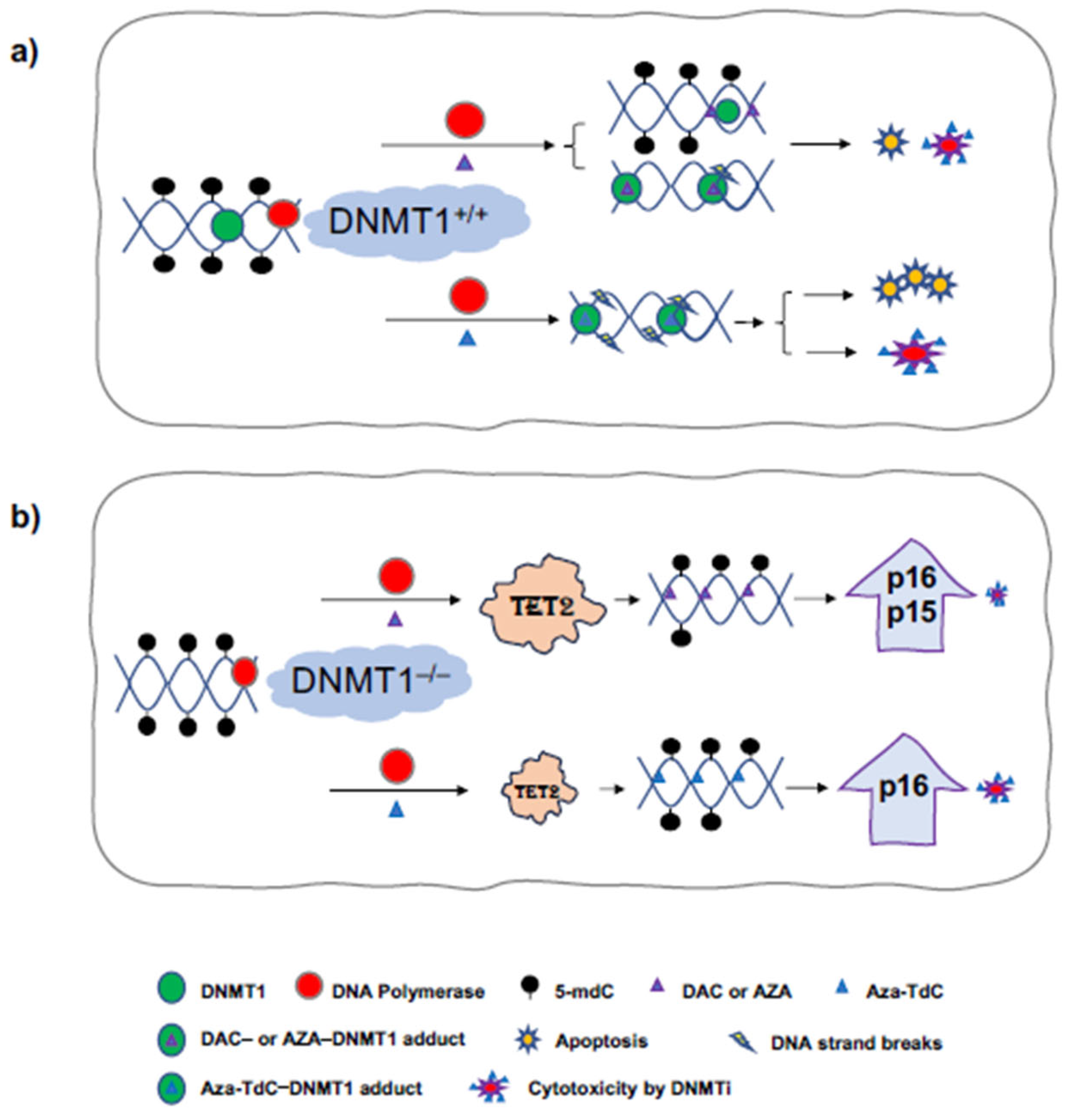 Diseases 12 00163 g004