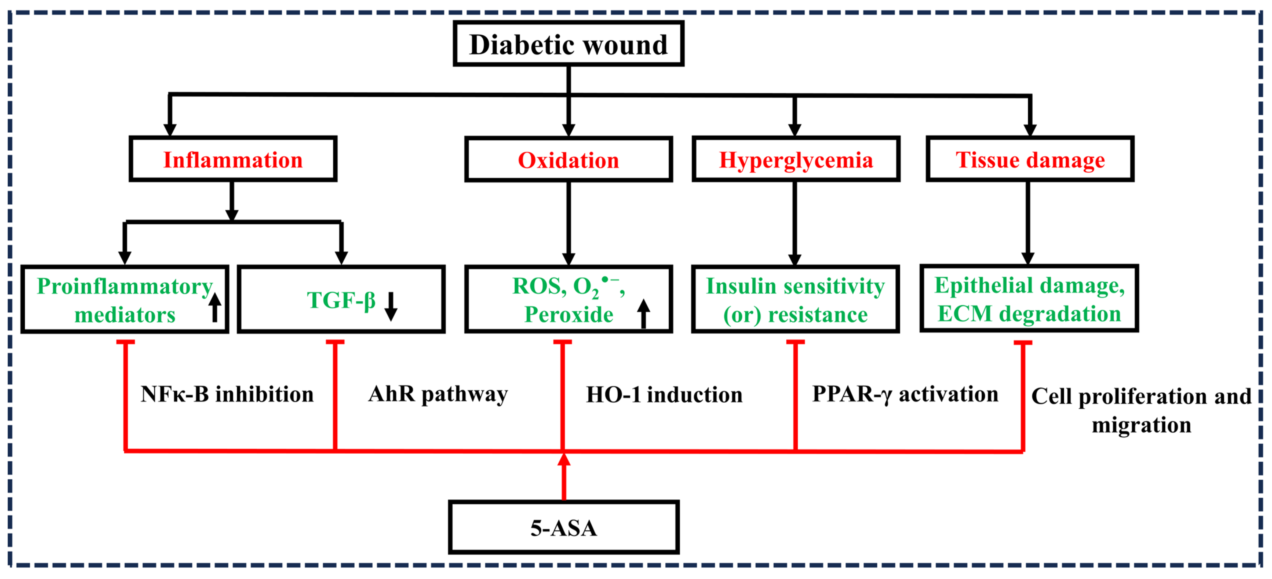 Diseases 12 00172 g001 Diseases 12 00172 g001