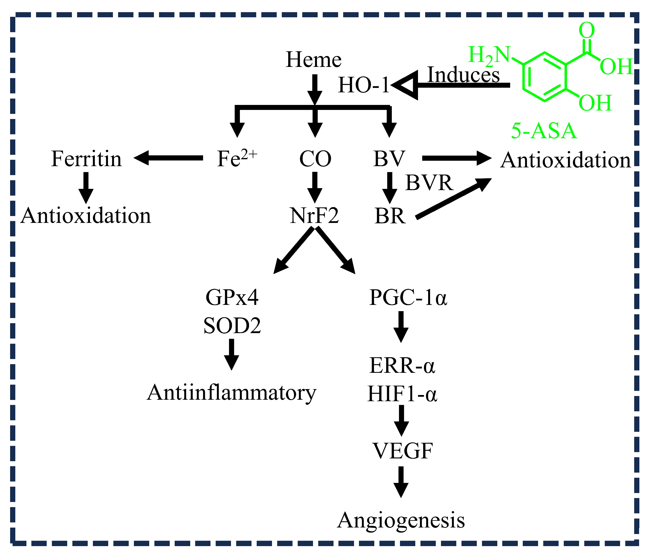 Diseases 12 00172 g003 Diseases 12 00172 g003