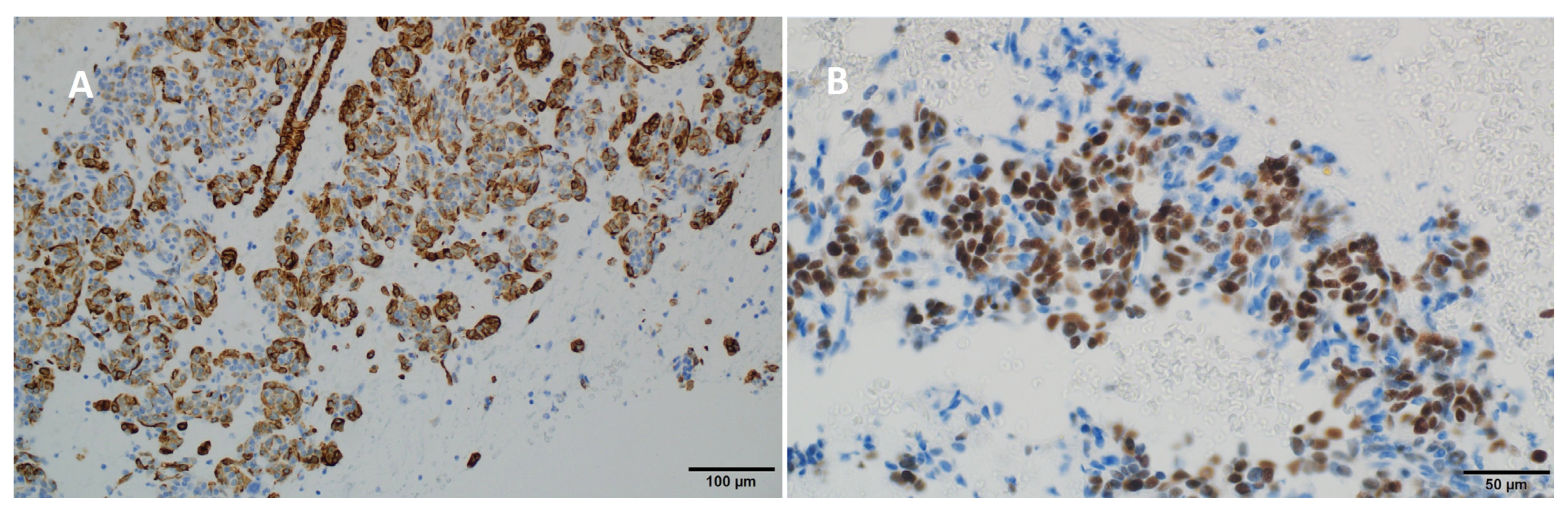 Diseases 12 00181 g003 Diseases 12 00181 g003