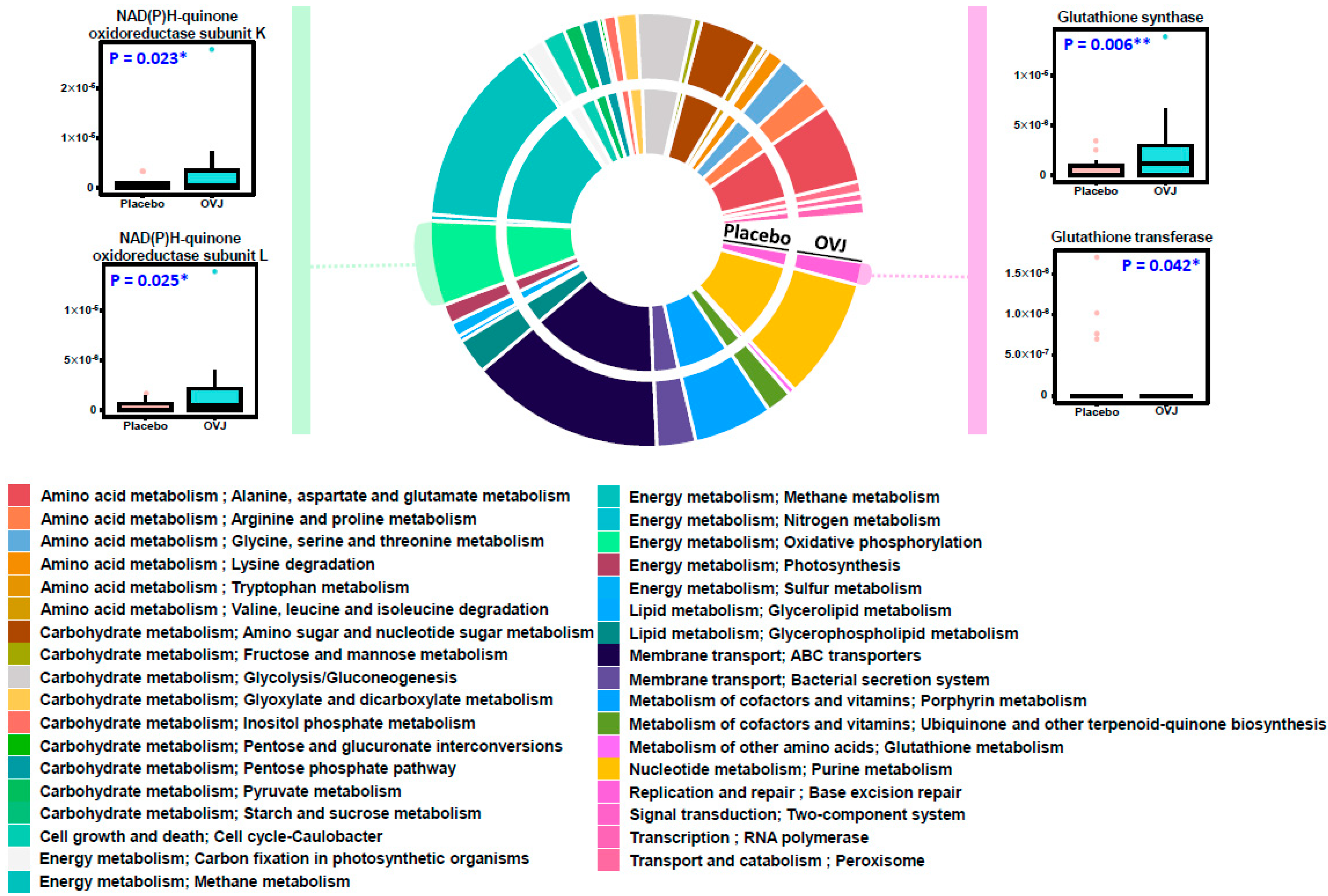 Diseases 12 00223 g003