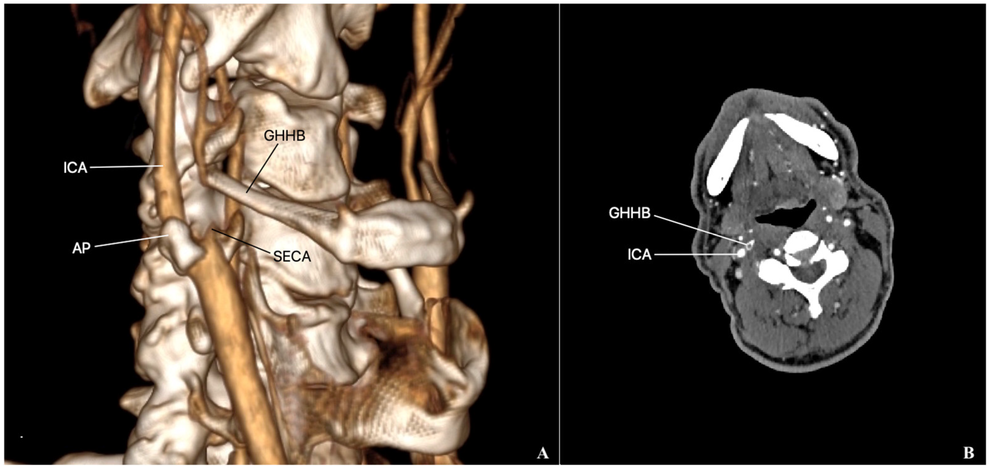 Diseases 12 00258 g001