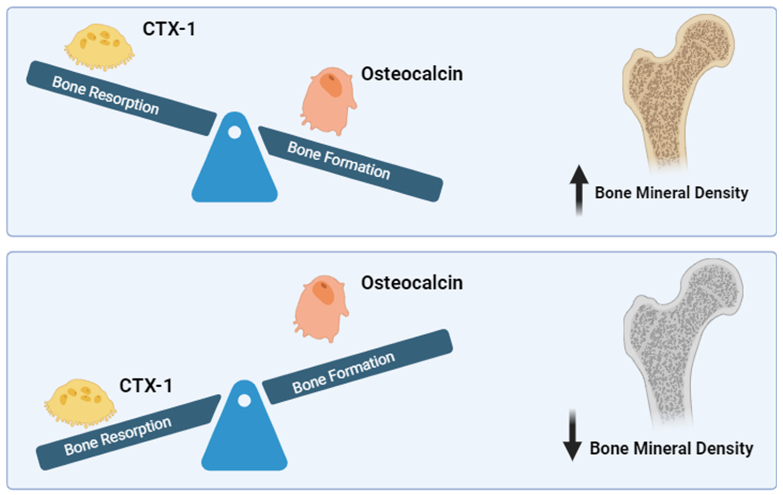 Diseases 12 00275 g001