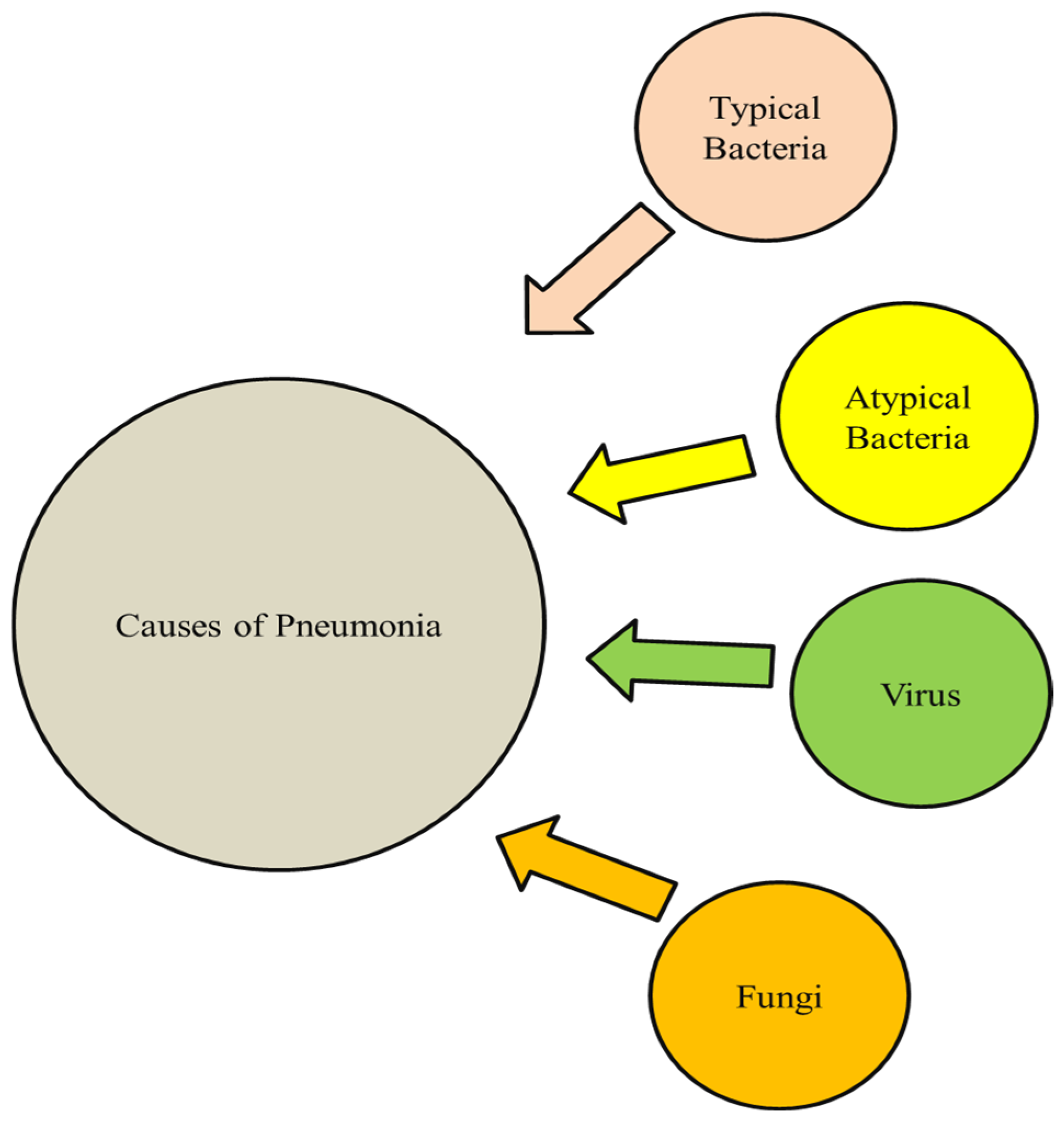 Diseases 12 00310 g001