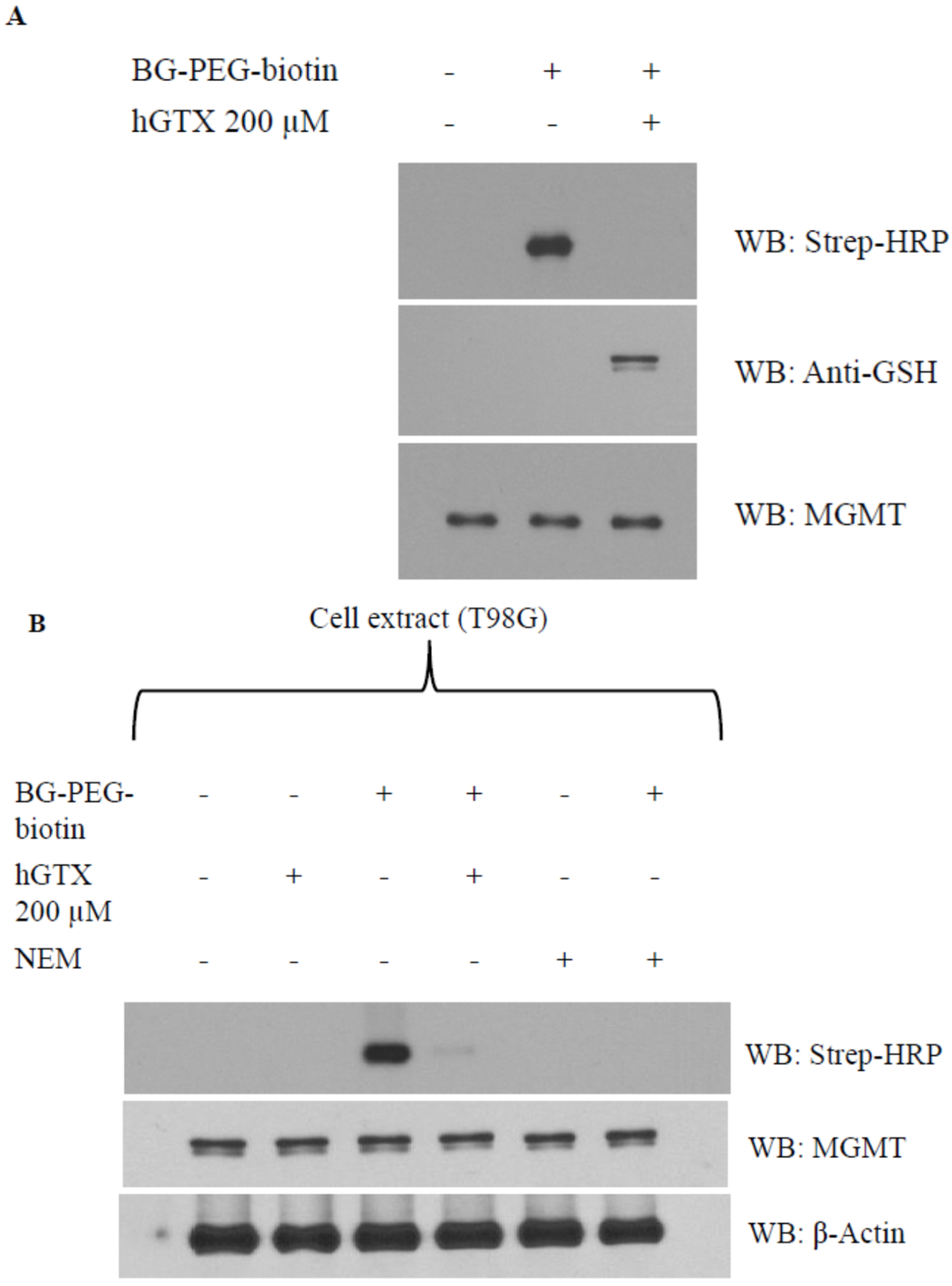 Diseases 13 00032 g006